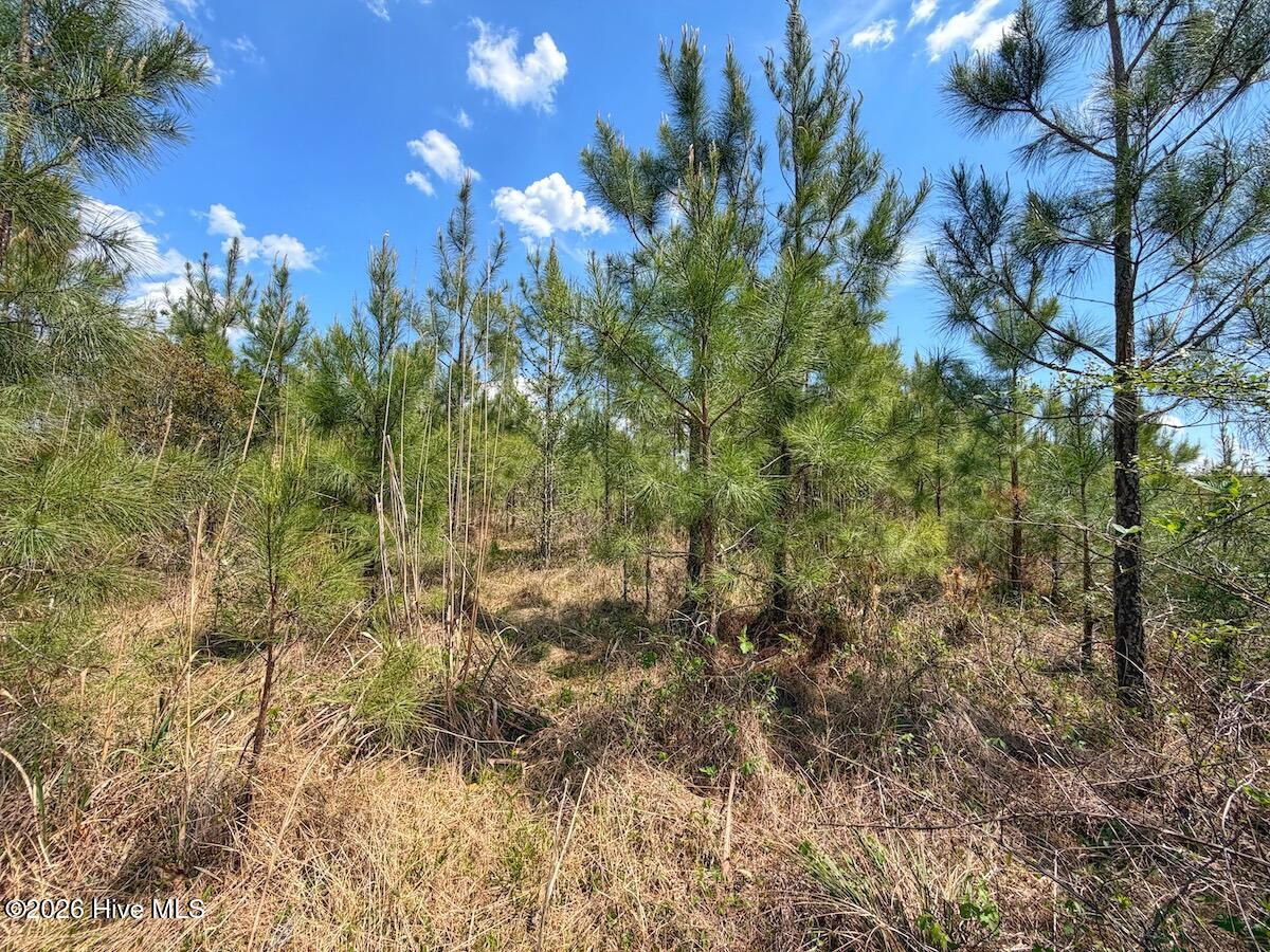 0 Guinea Mill Road, Ernul, NC, 28527