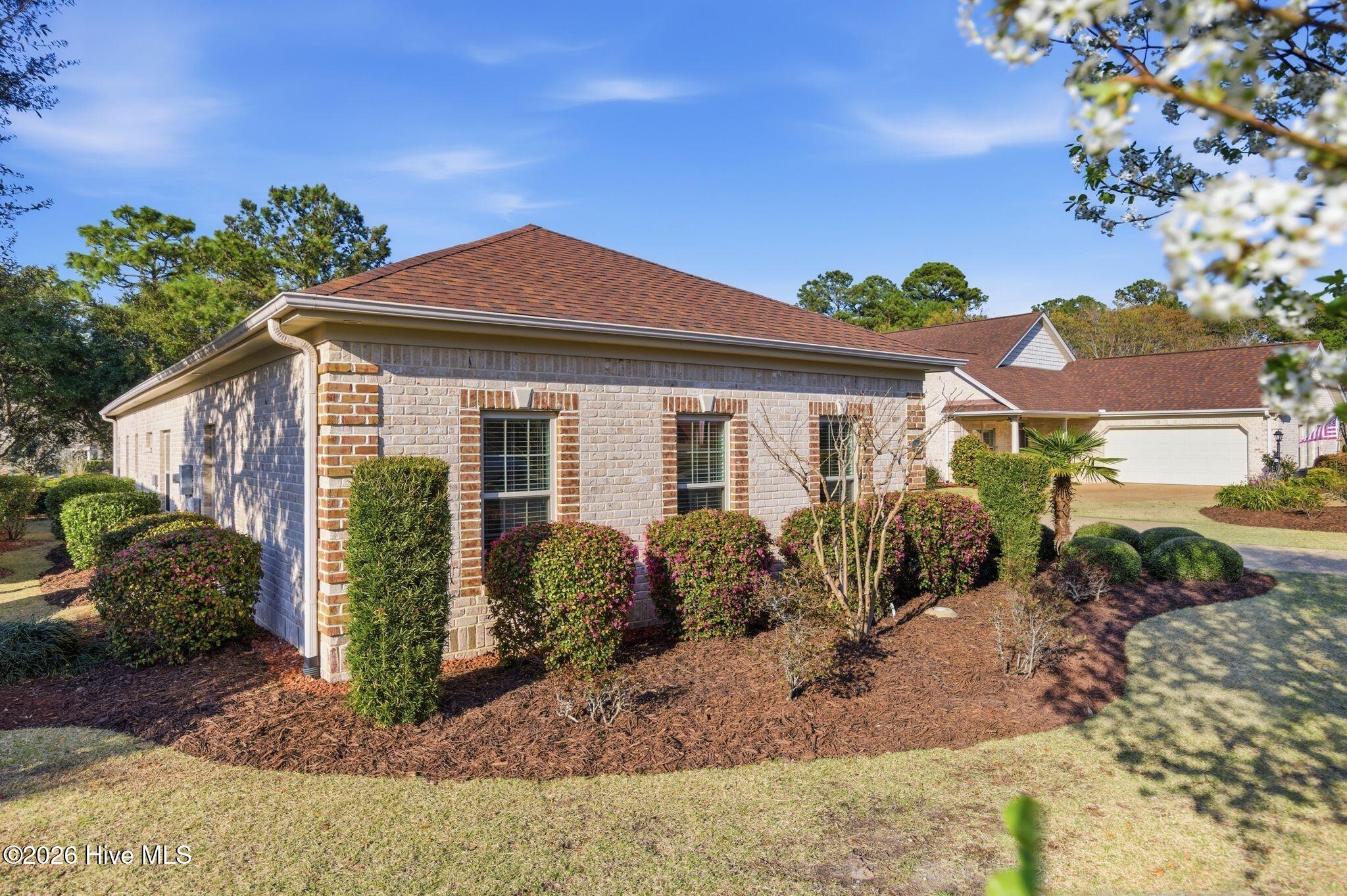 100559645 | Photo 41