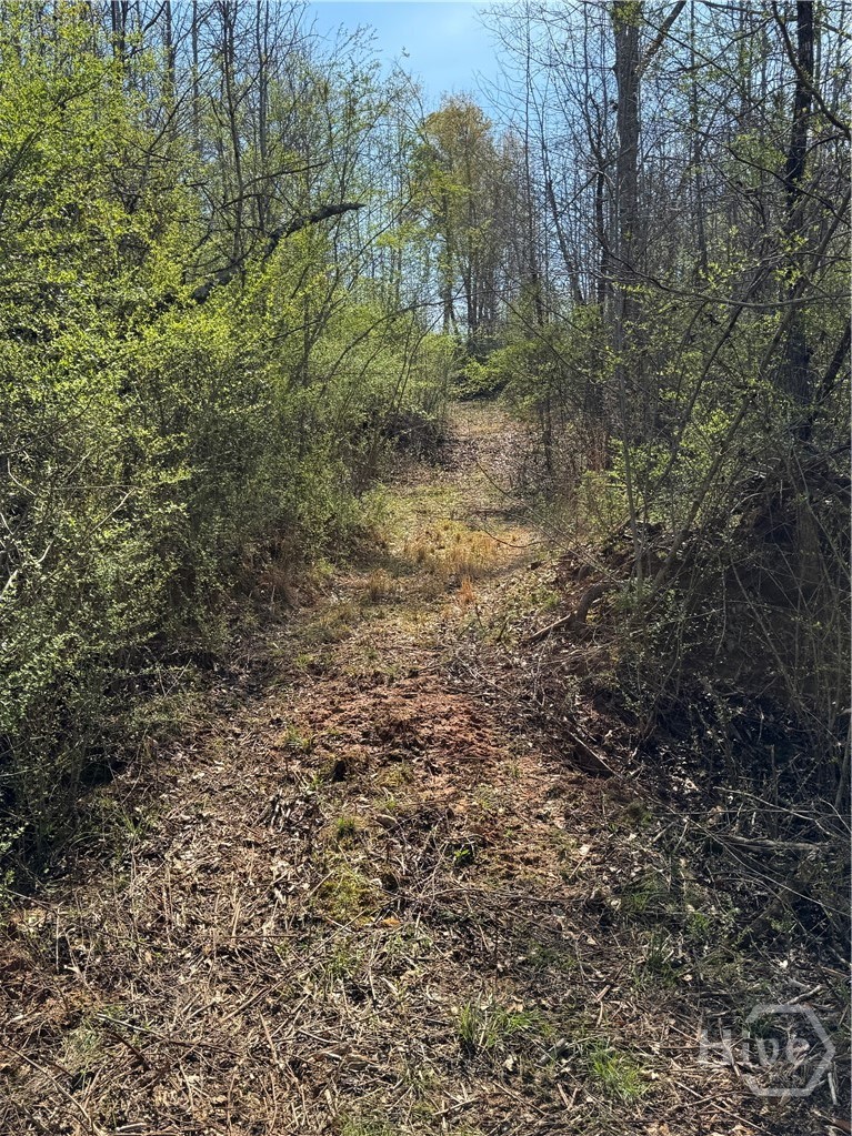 738 Old Mineral Springs Road, Elberton, GA, 30635