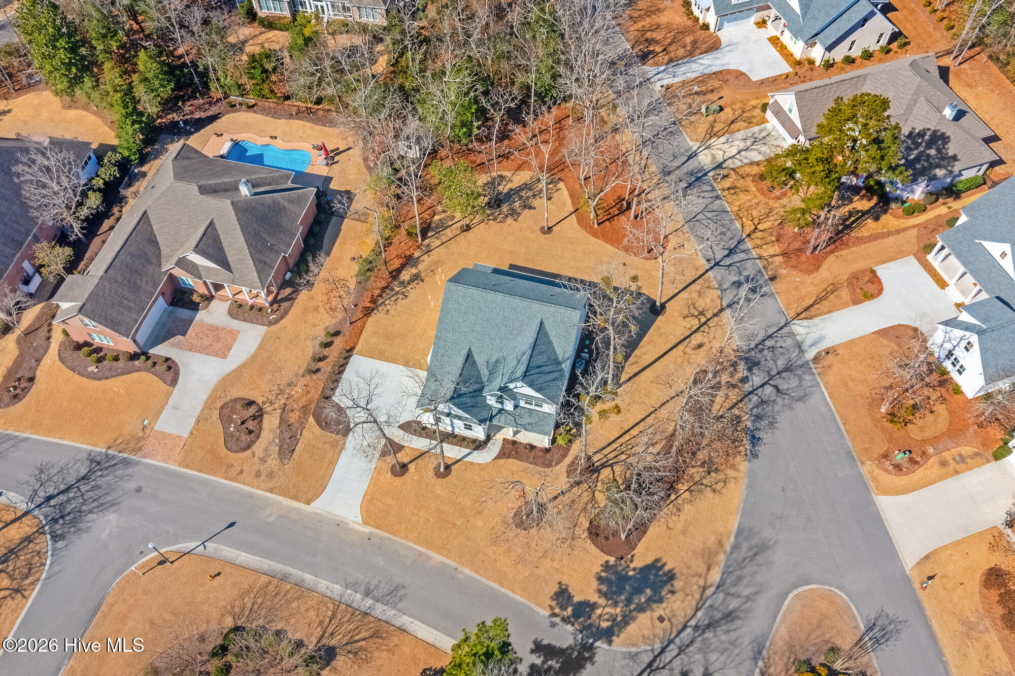 100564009 | Photo 57