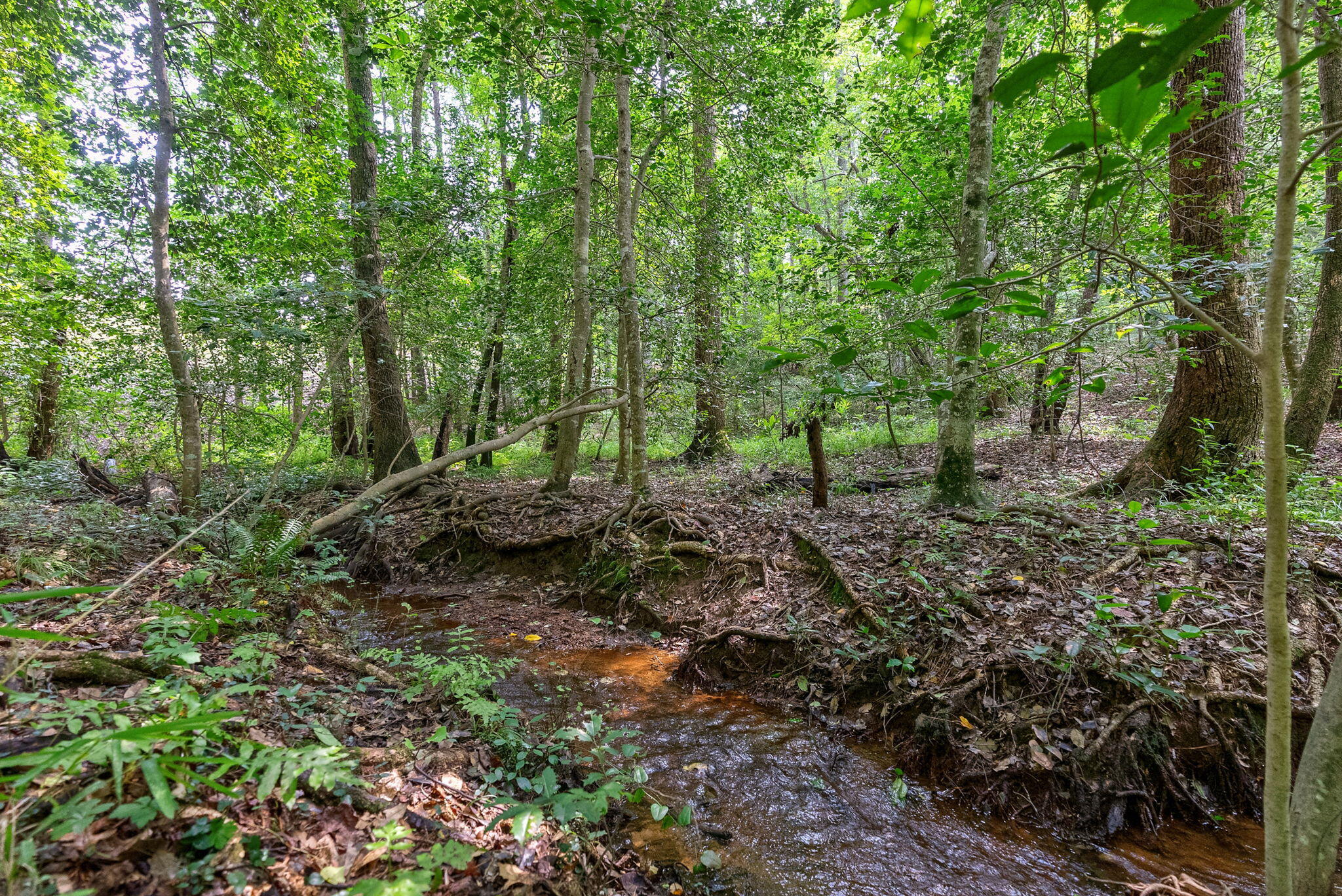 LOT 7 WOODSPRING Court, North Augusta, SC, 29860