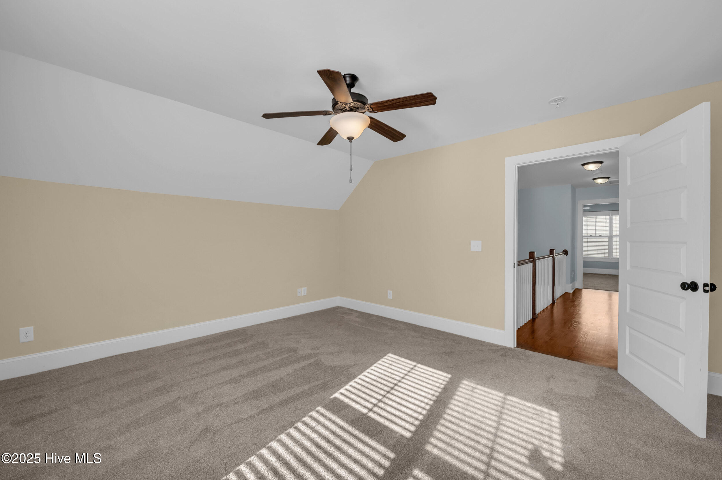 100540698 | Photo 37