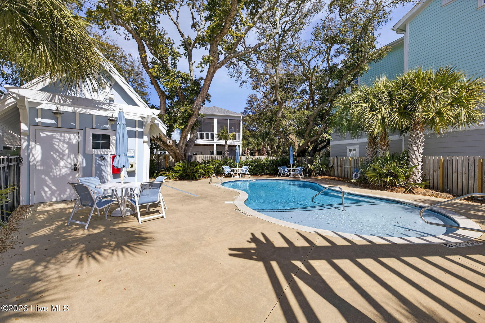 100555163 | Photo 51