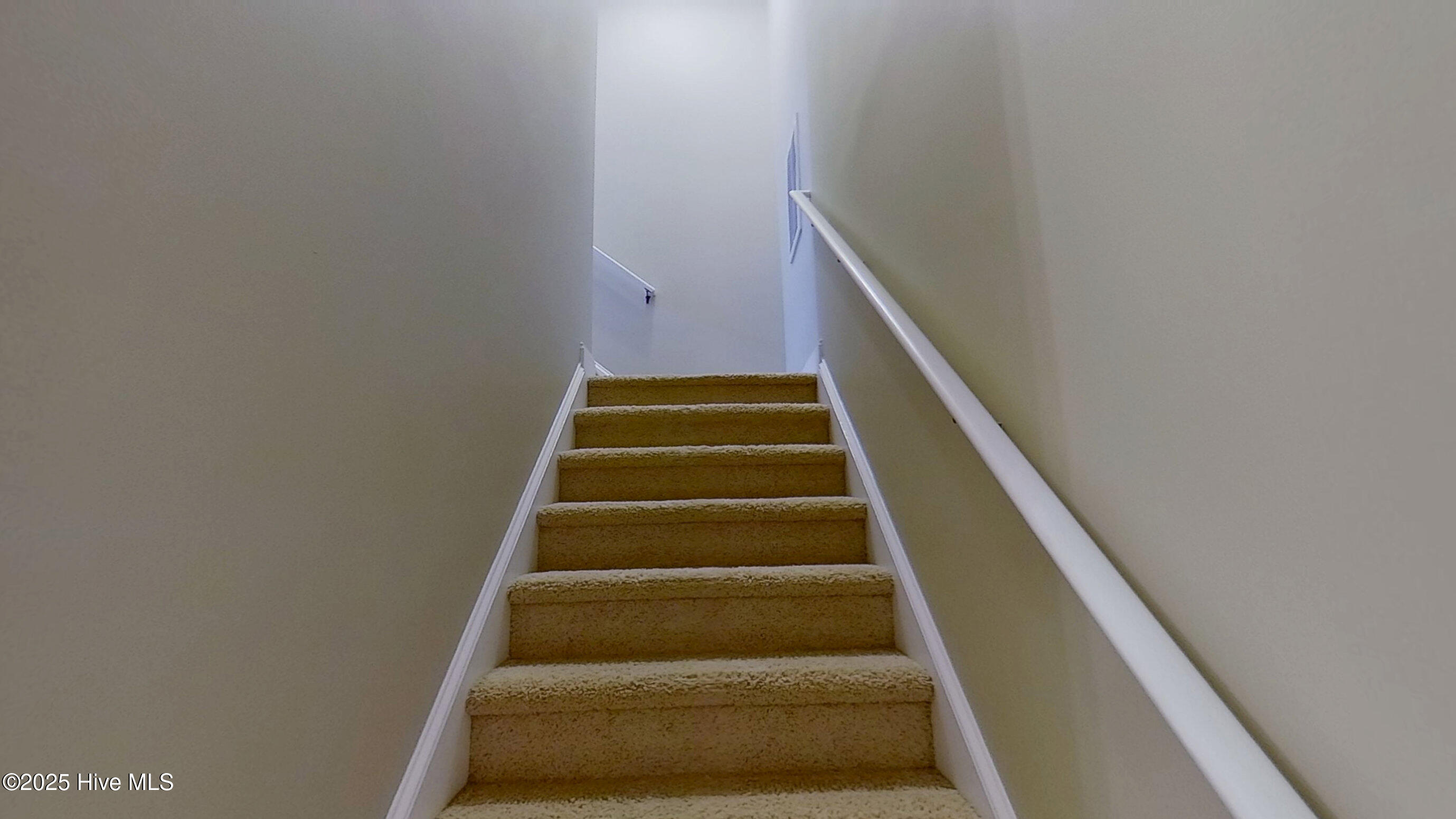 100543740 | Photo 22