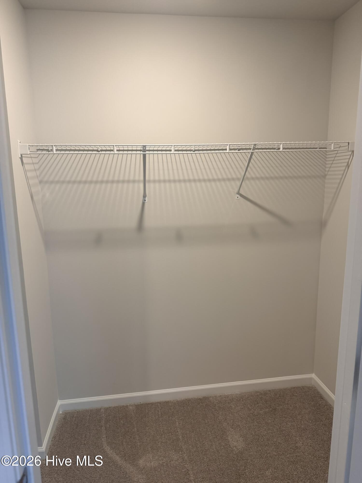 100557384 | Photo 17