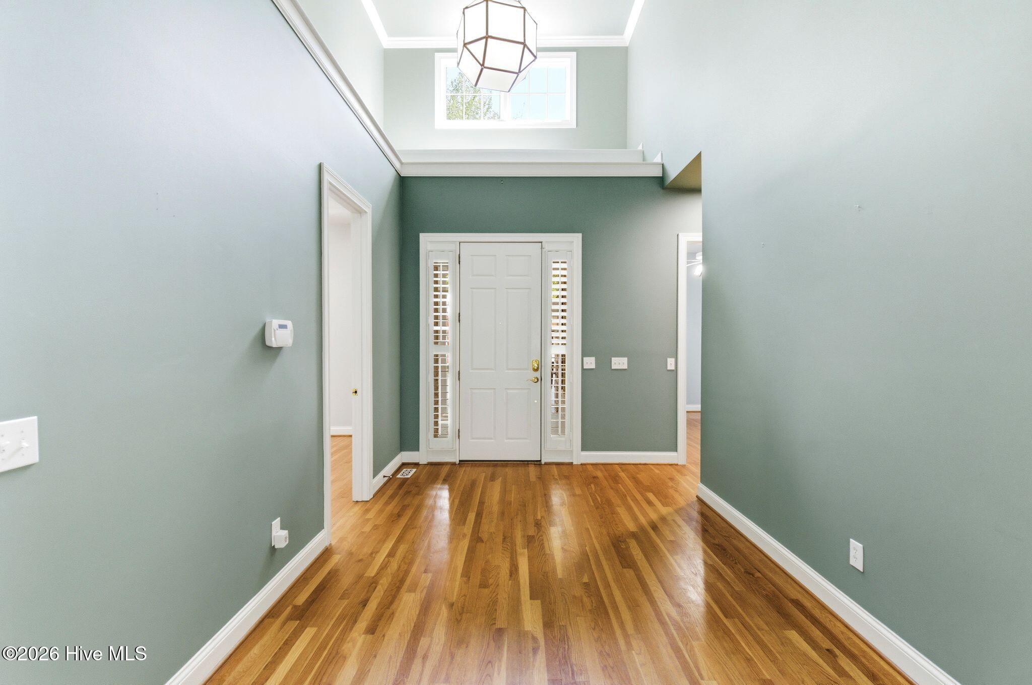 100567139 | Photo 39