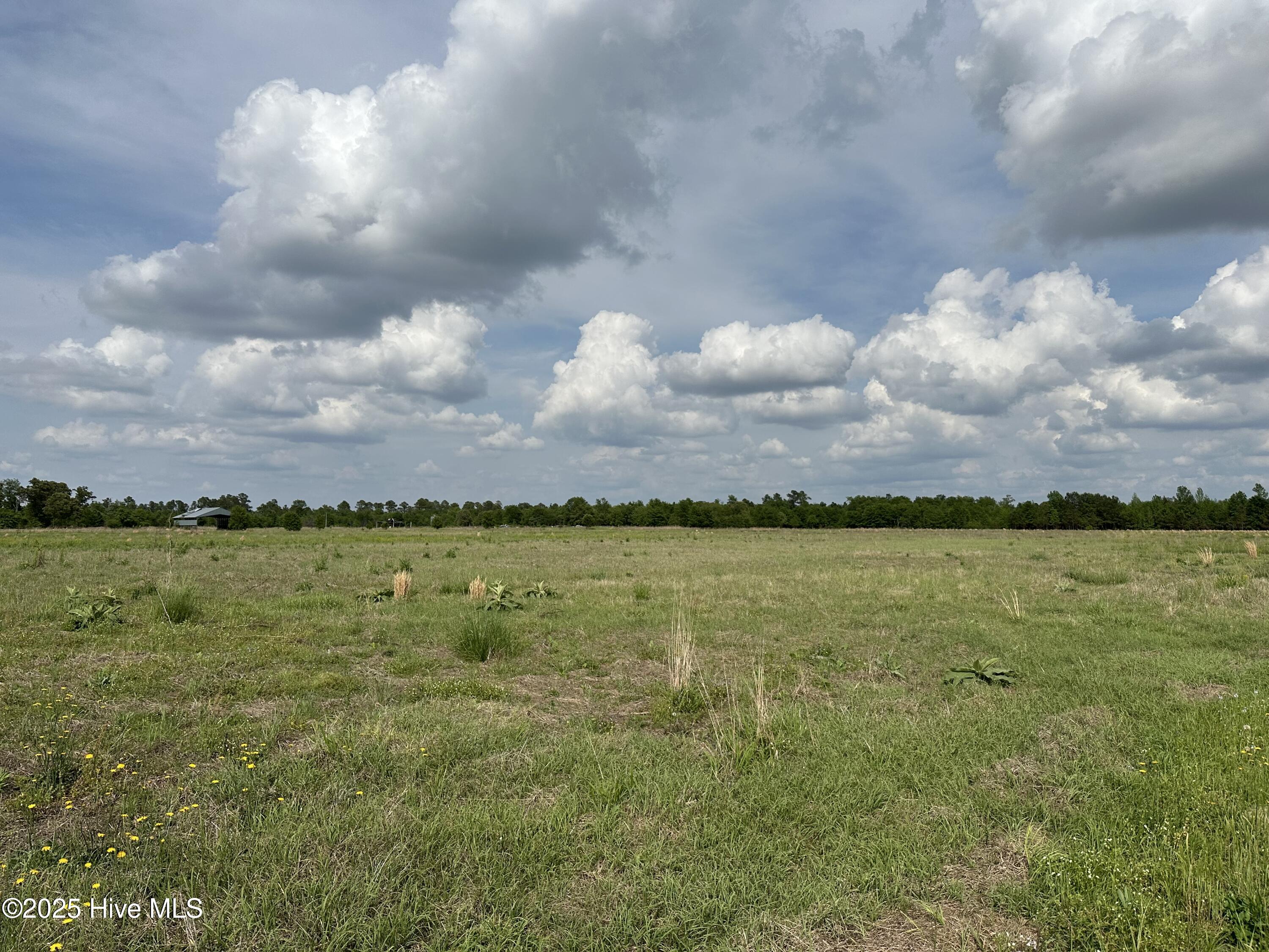 Homes for sale in Maxton, NC | Lot 2 Mcgirt Rd, Maxton, NC 28364 | MLS# 100553961