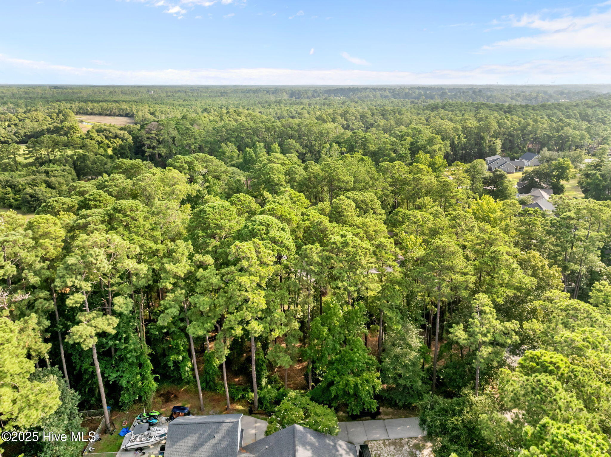 100520781 | Photo 25