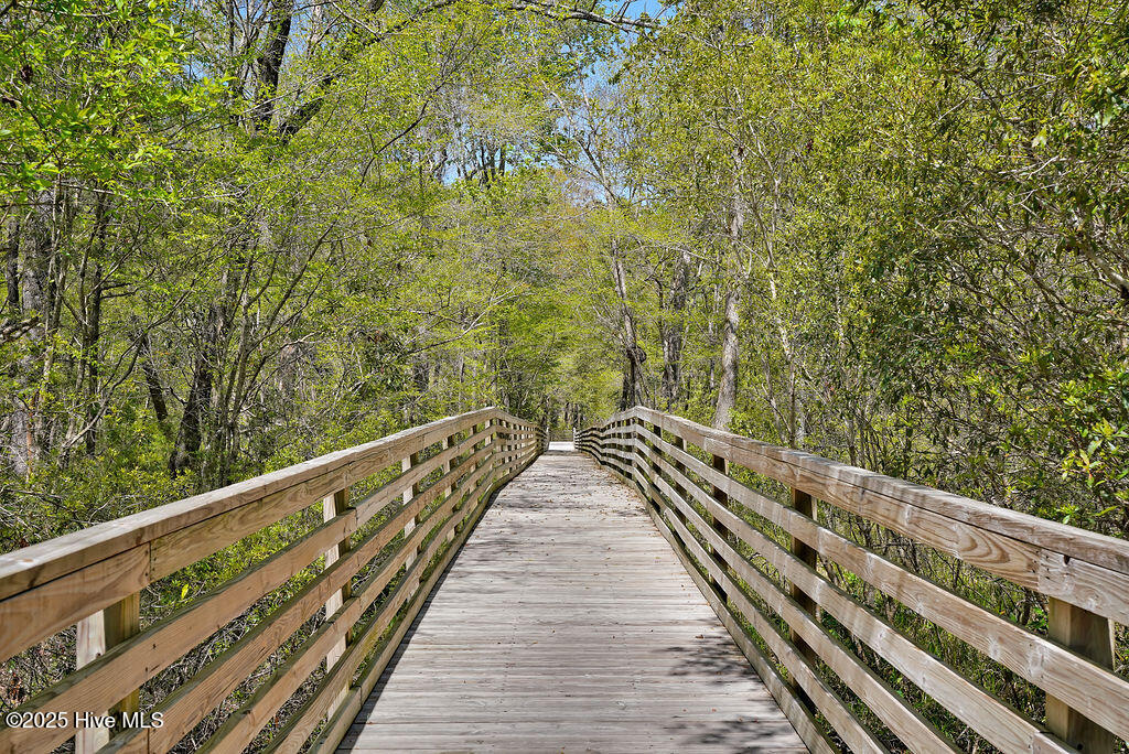 100531958 | Photo 30