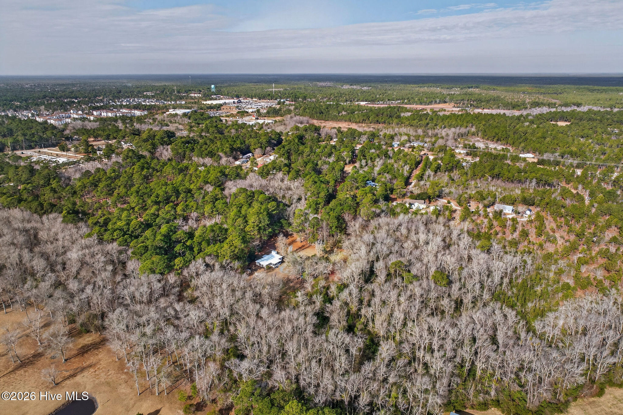 100552398 | Photo 61