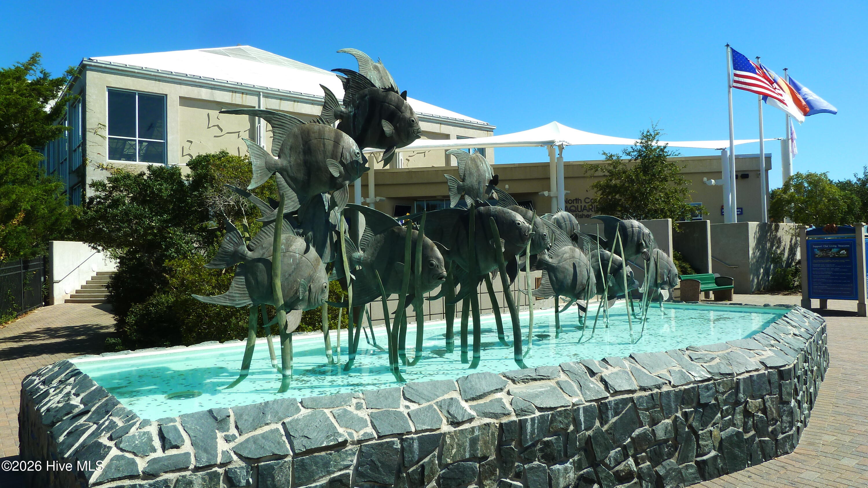 100559910 | Photo 61