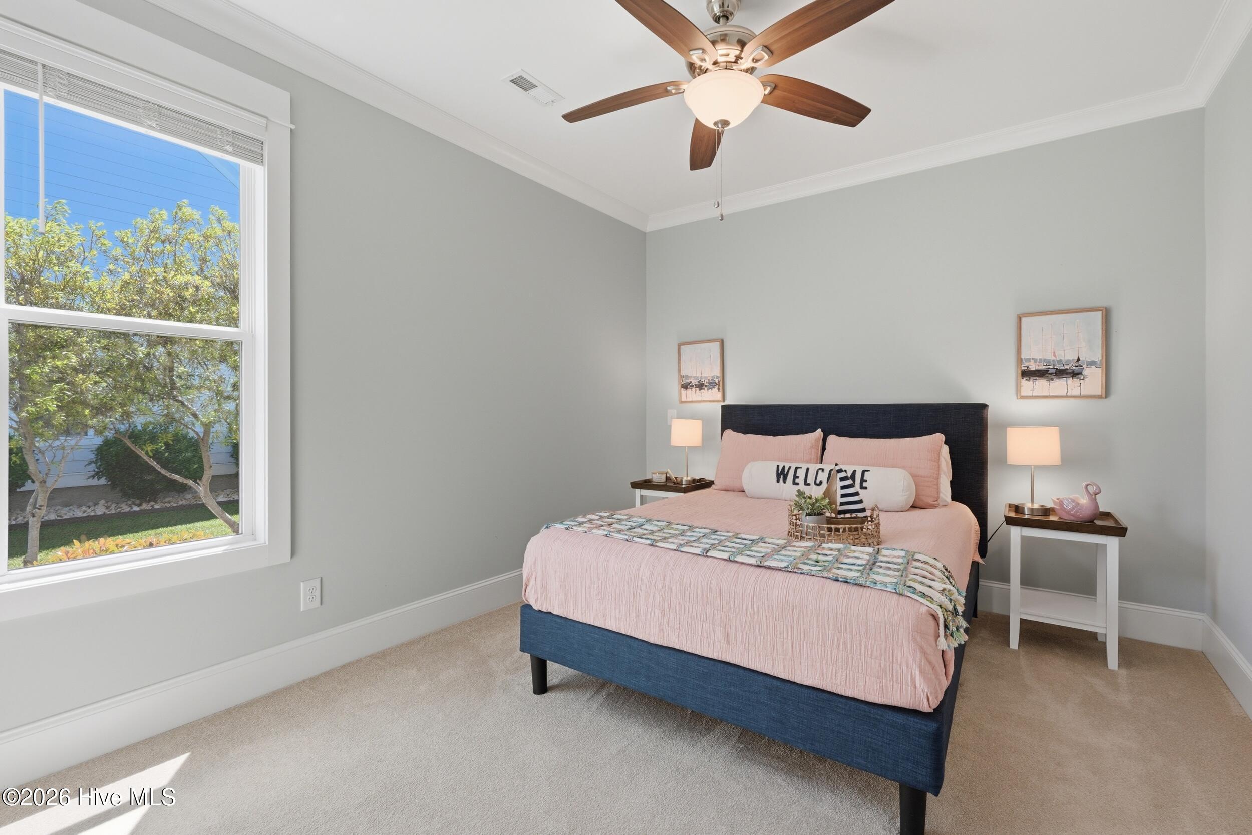 100567823 | Photo 47