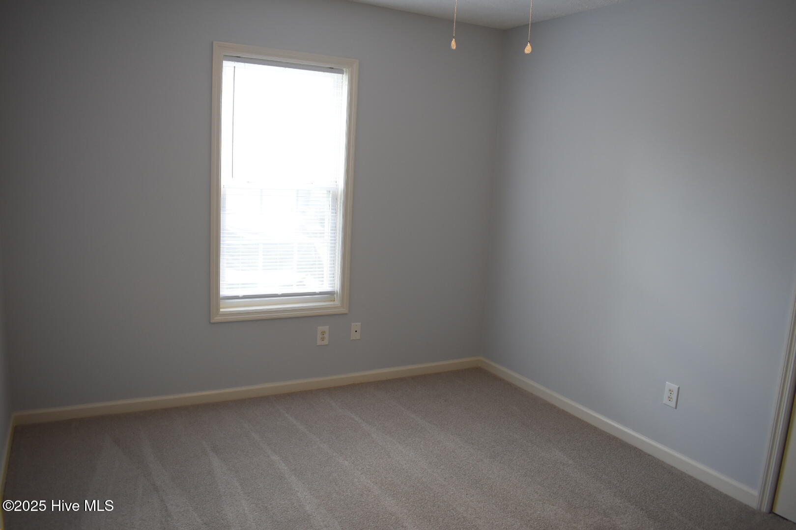 100538470 | Photo 25