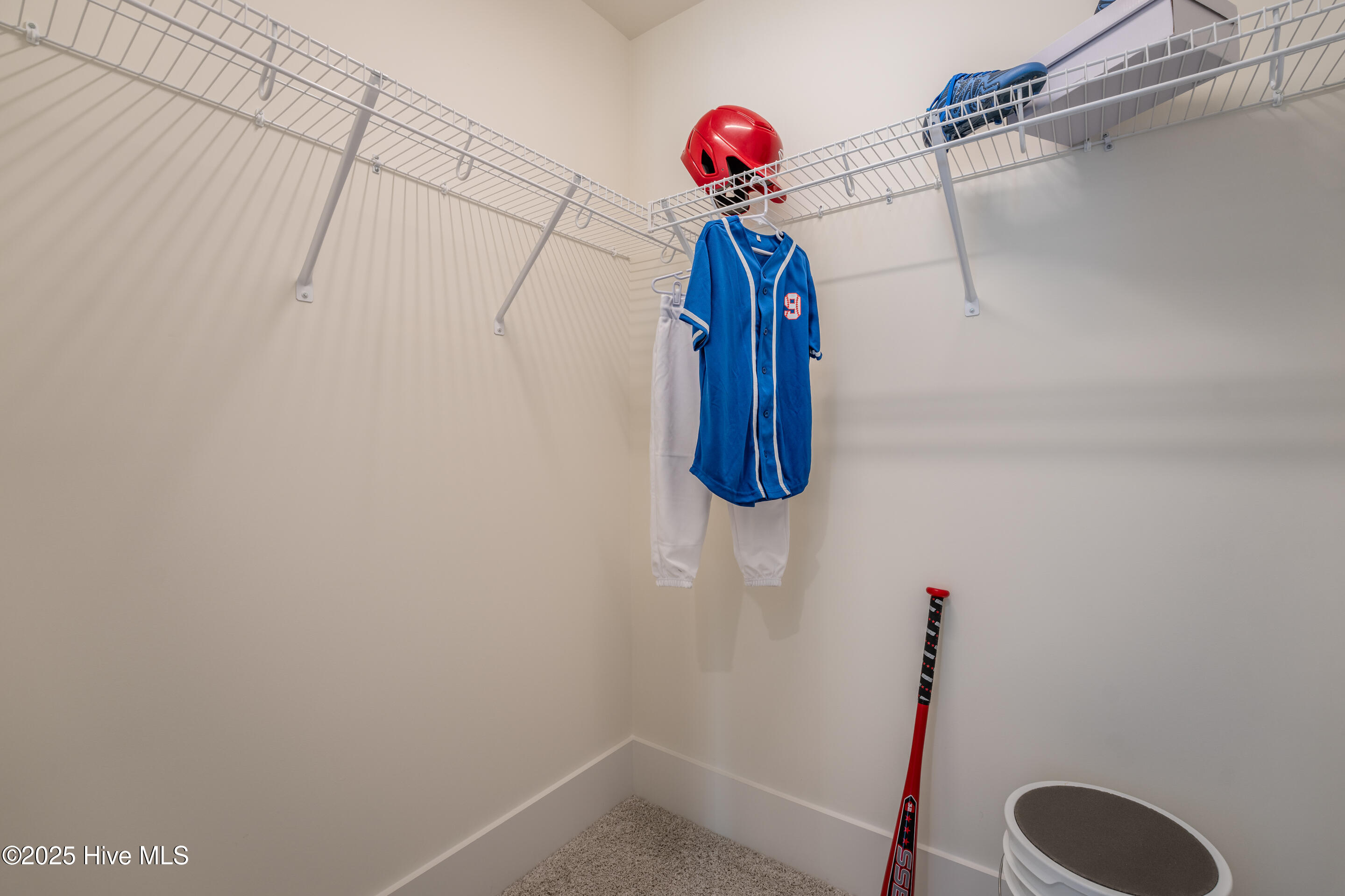 100531038 | Photo 40