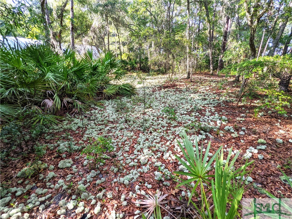 0 Fort Argyle Road, Savannah, GA, 31419