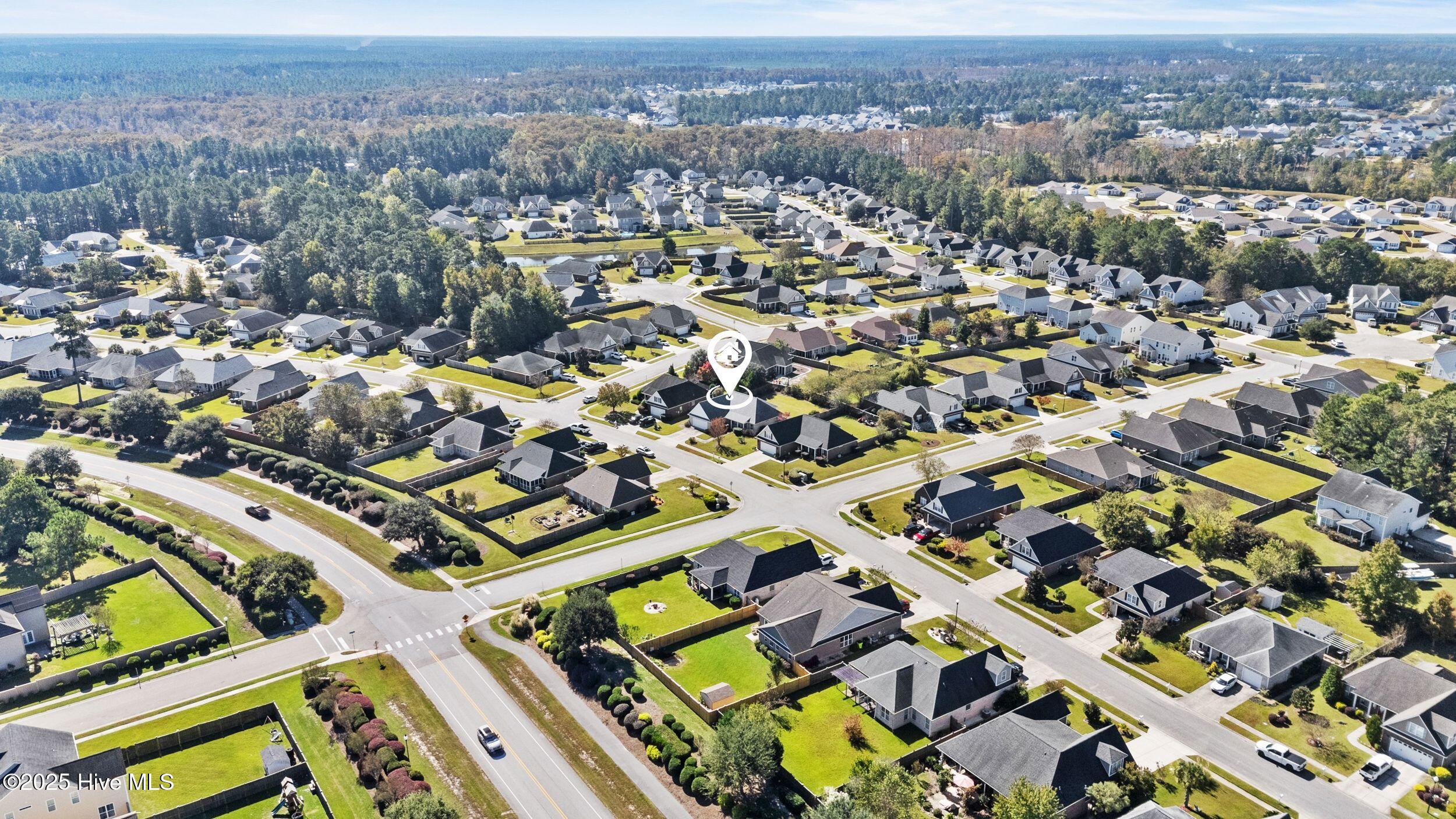 100537389 | Photo 48