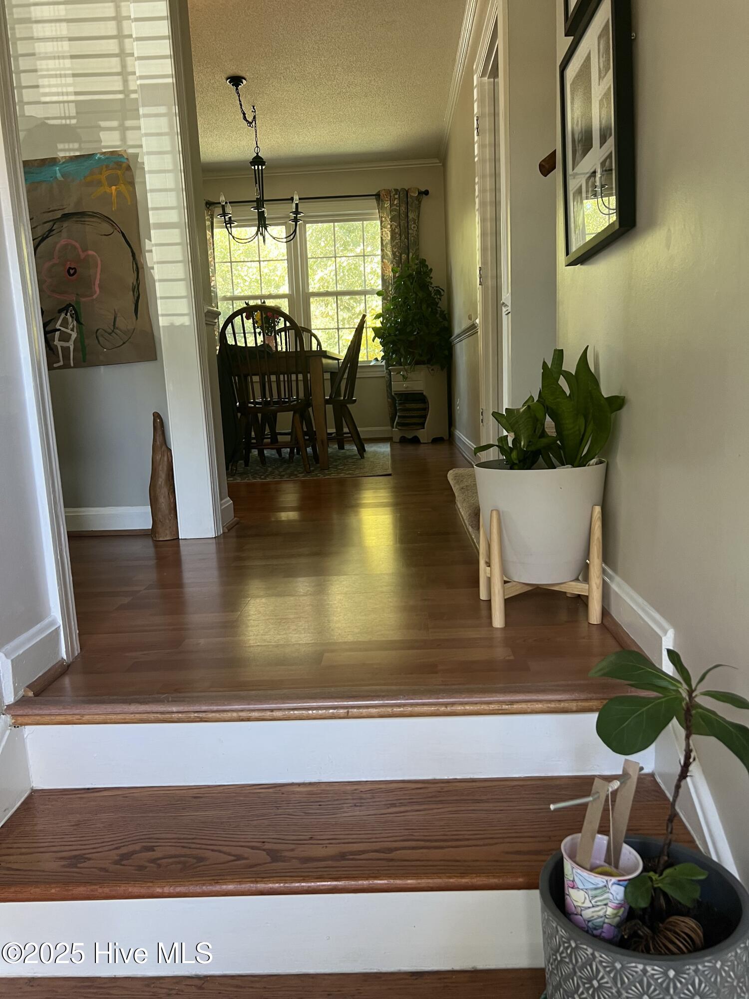 1204 Rodgers Drive
