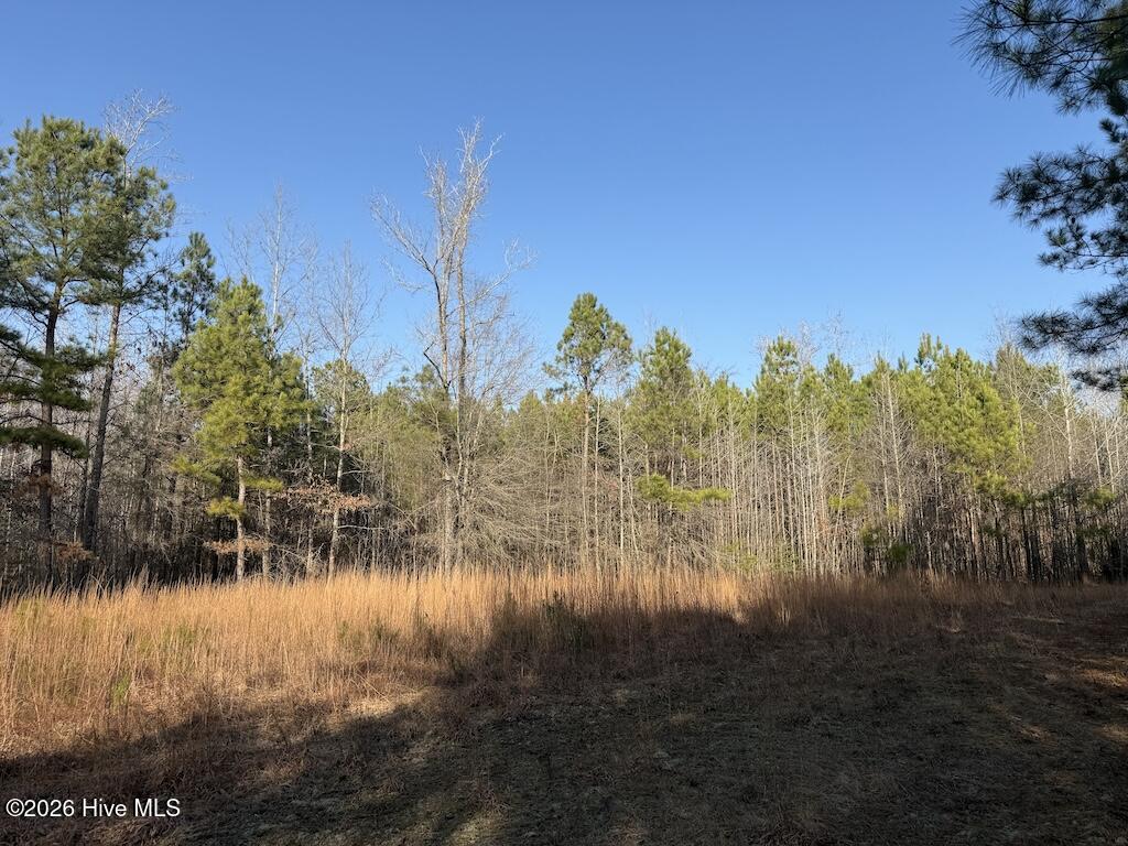 Homes for sale in Rich Square, NC | 0 Nc-308, Rich Square, NC 27869 | MLS# 100552434