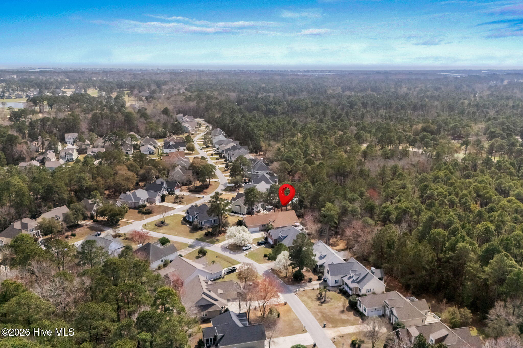 100565565 | Photo 56