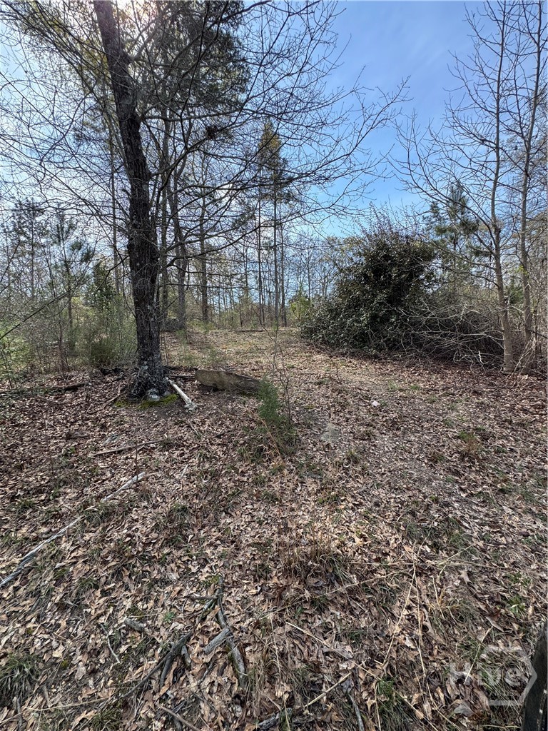 738 Old Mineral Springs Road, Elberton, GA, 30635