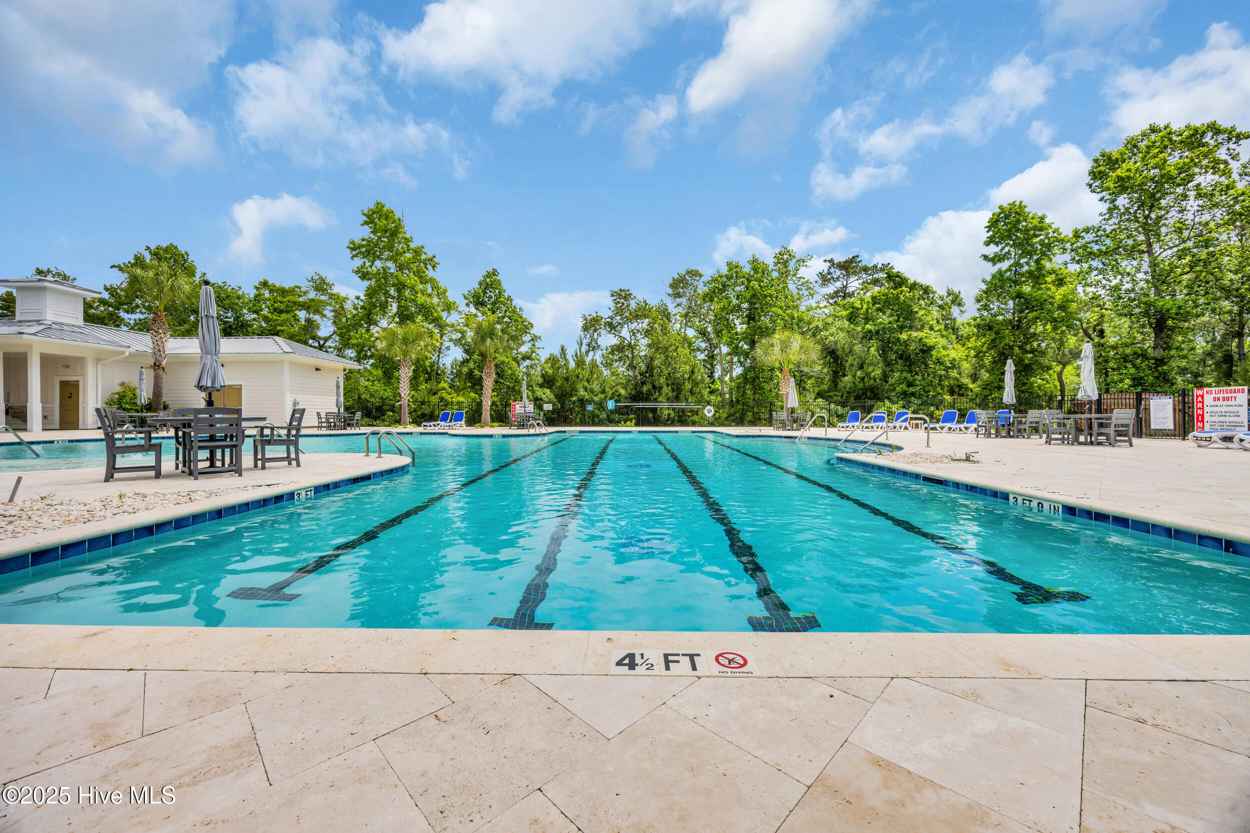 100507906 | Photo 34