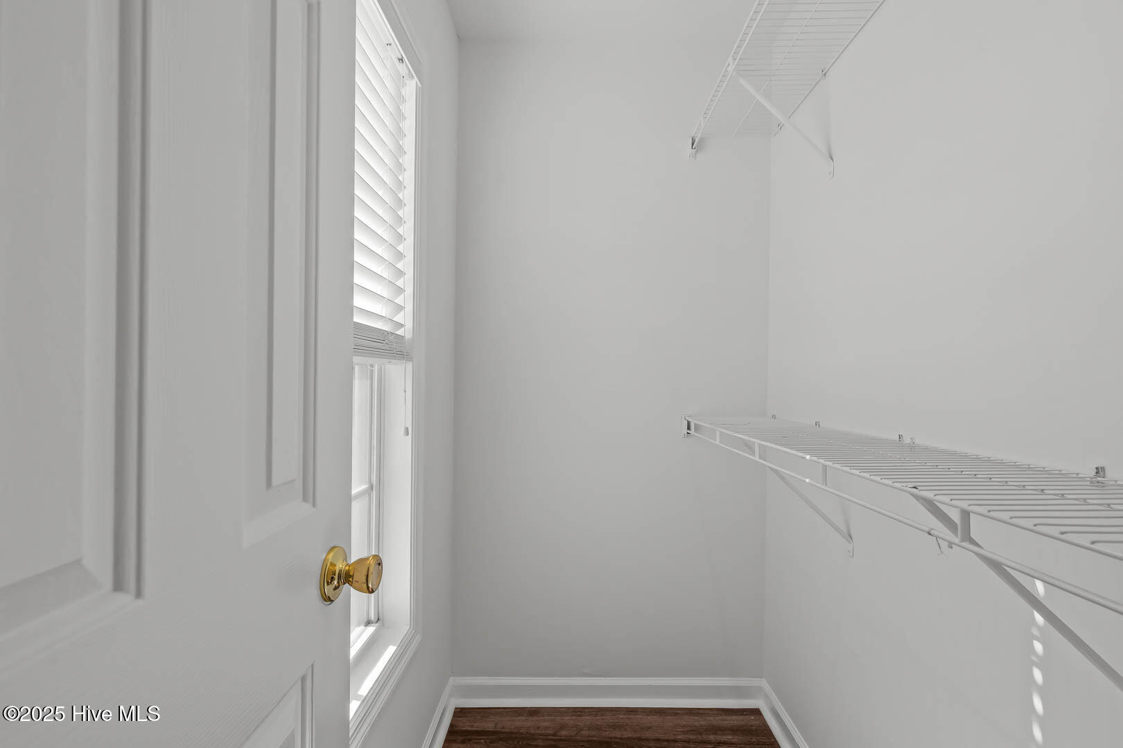 100538607 | Photo 55