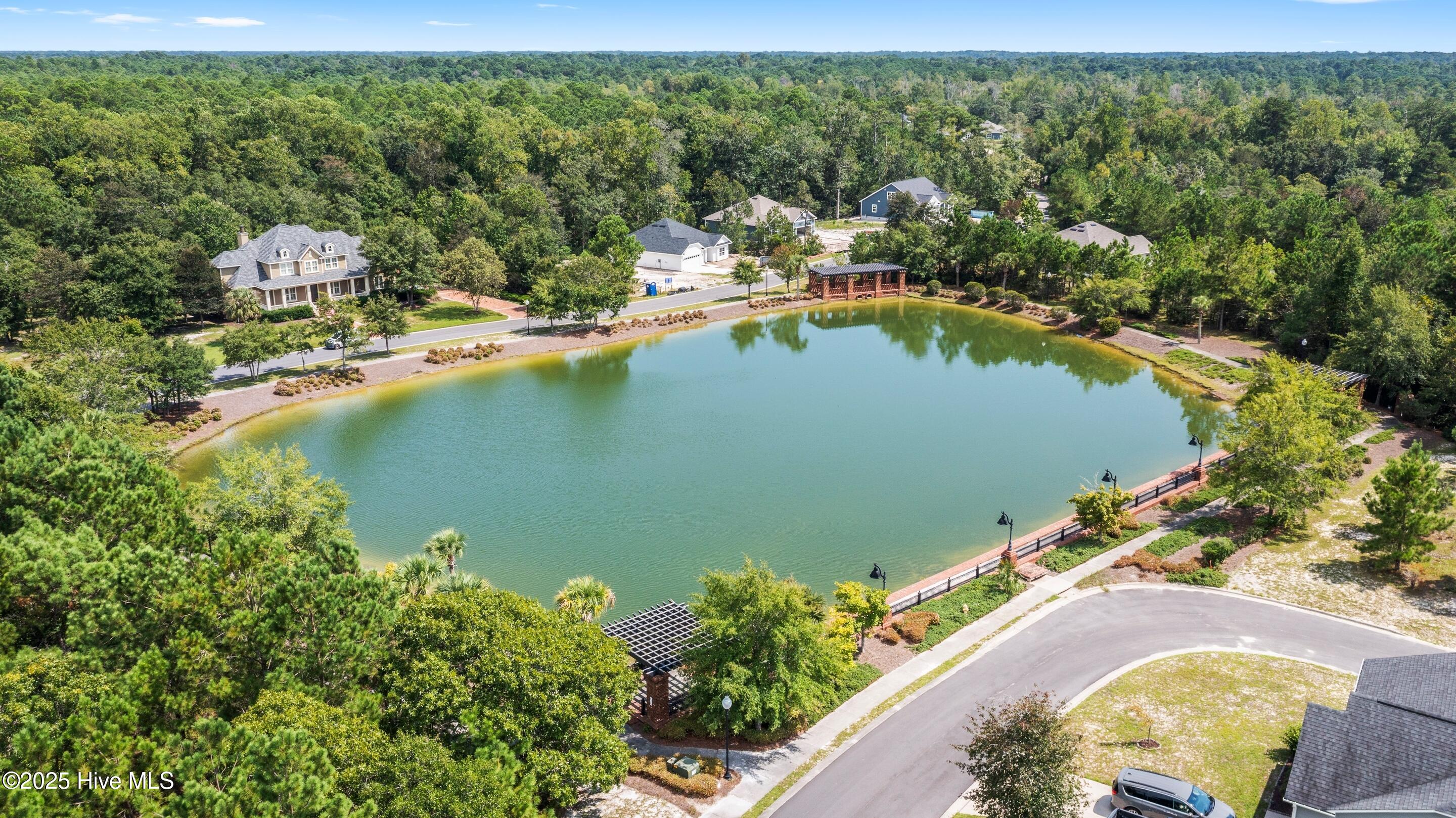 100527651 | Photo 41