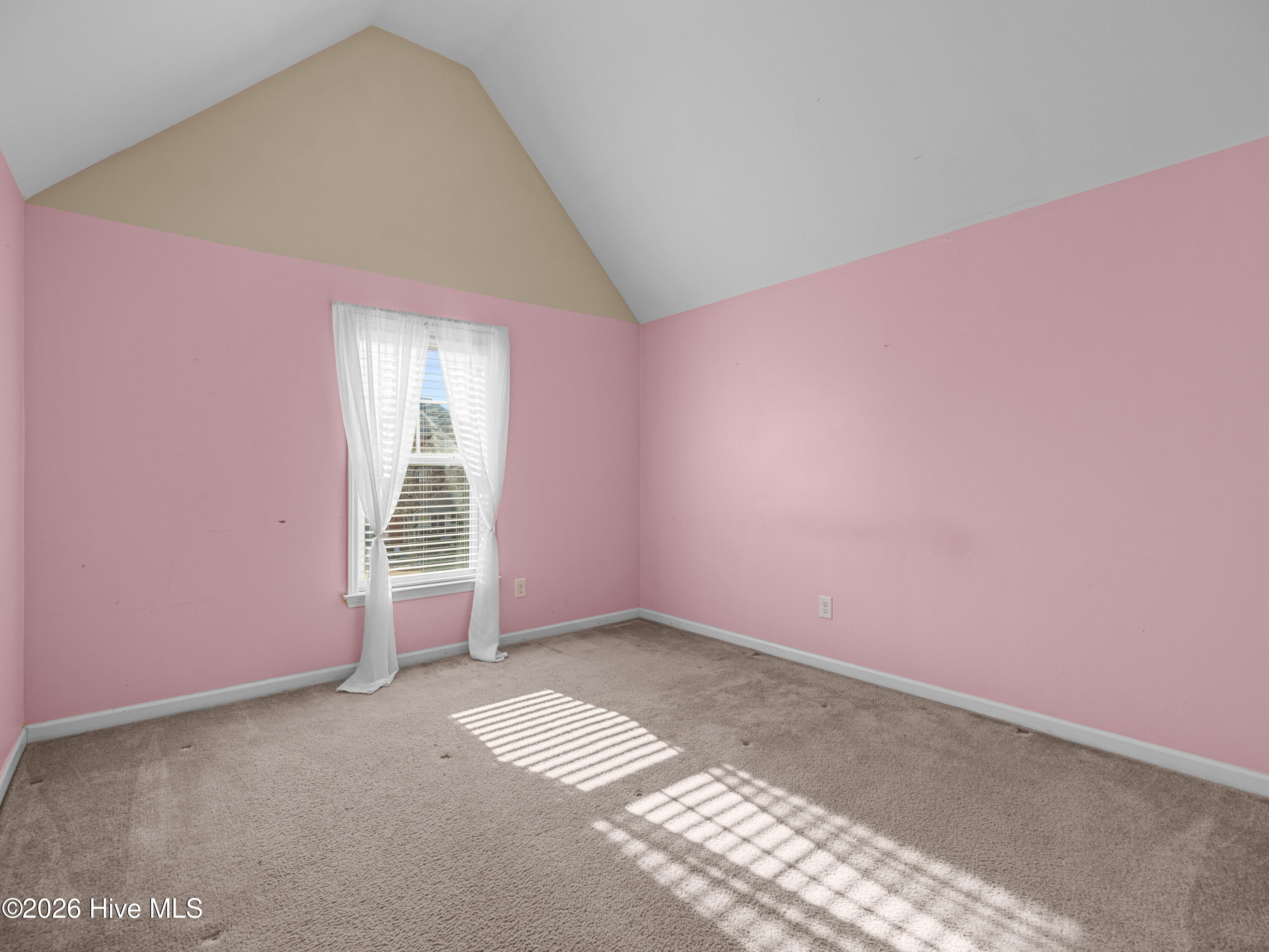 100553389 | Photo 48