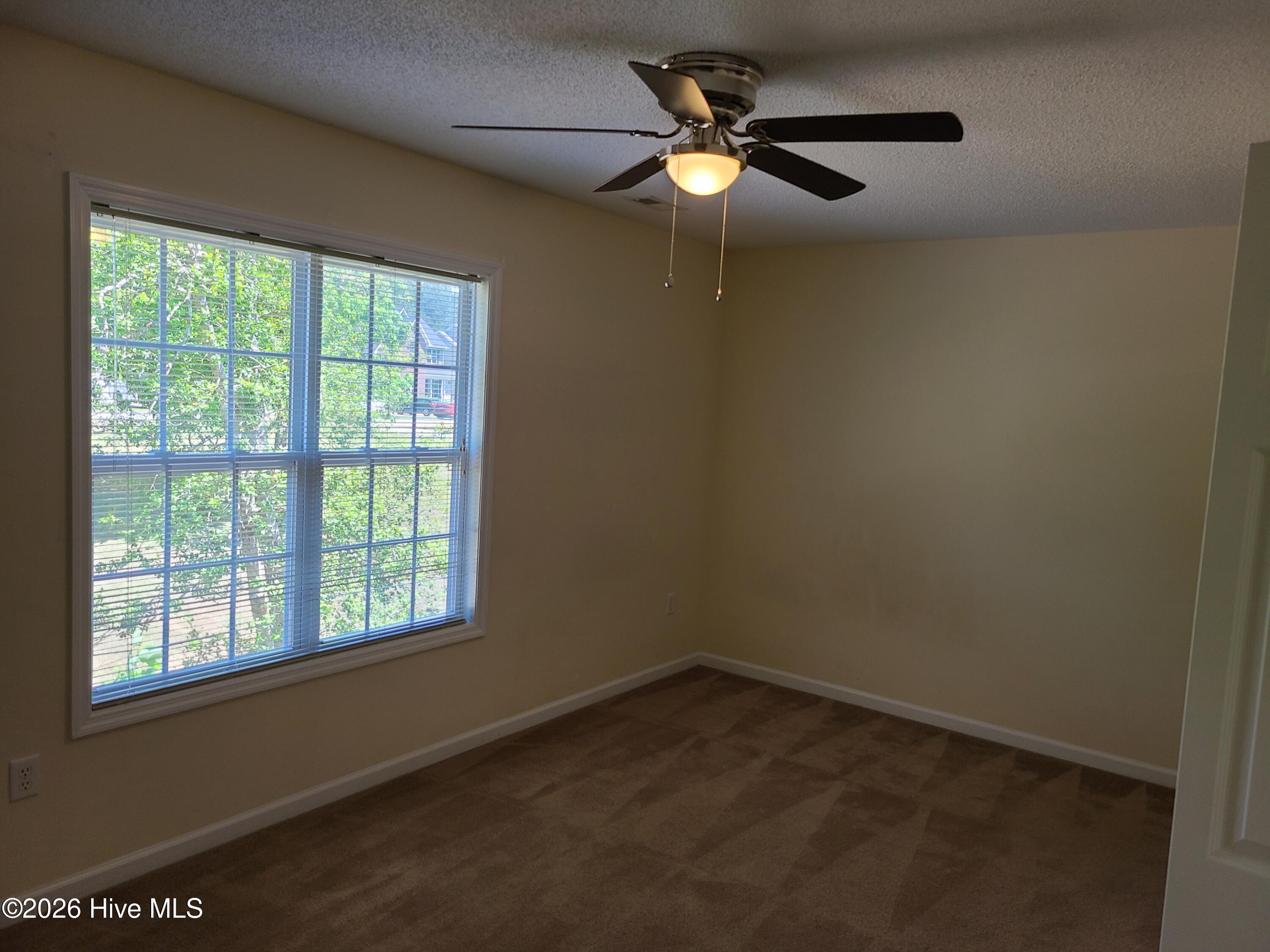 100548232 | Photo 18