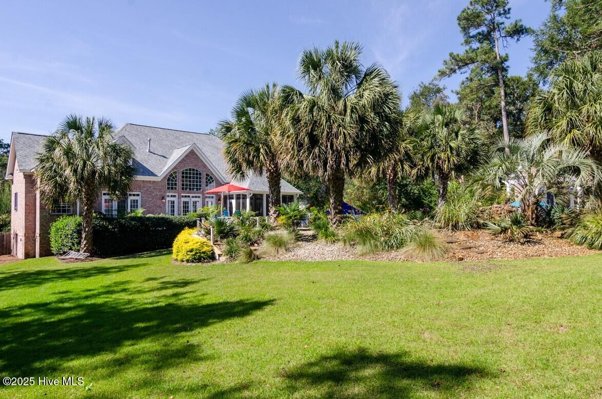 100528608 | Photo 40