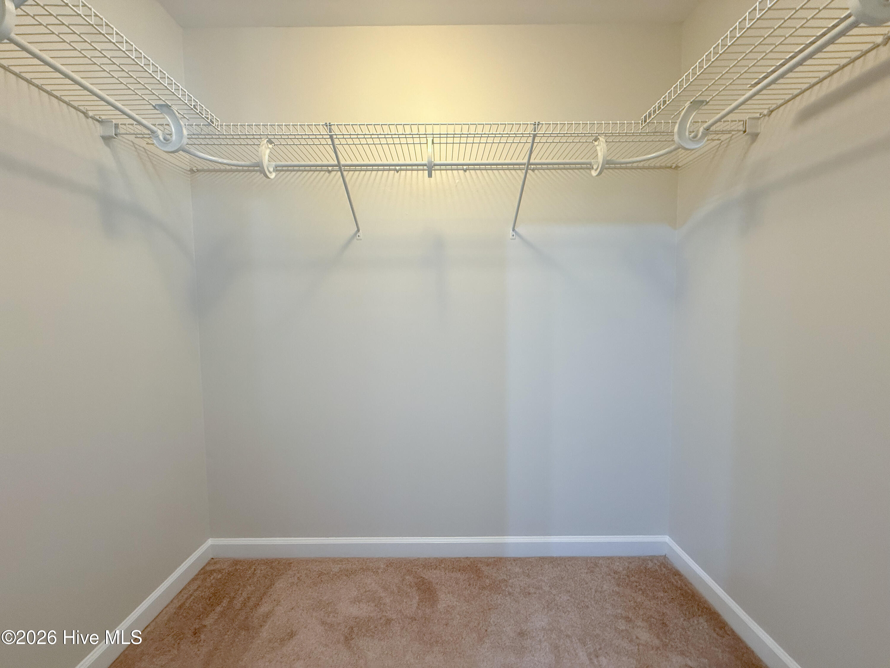 100565370 | Photo 43