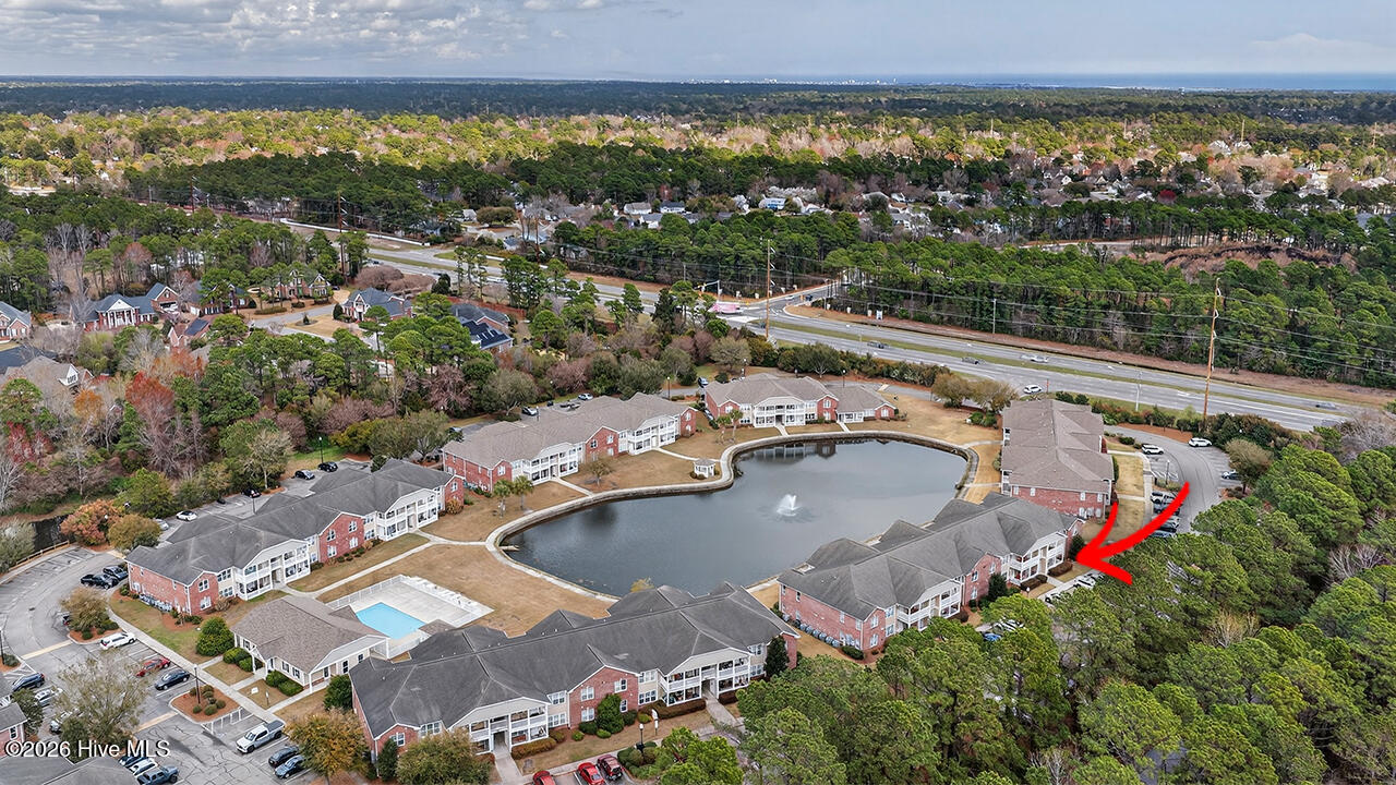 100559380 | Photo 50