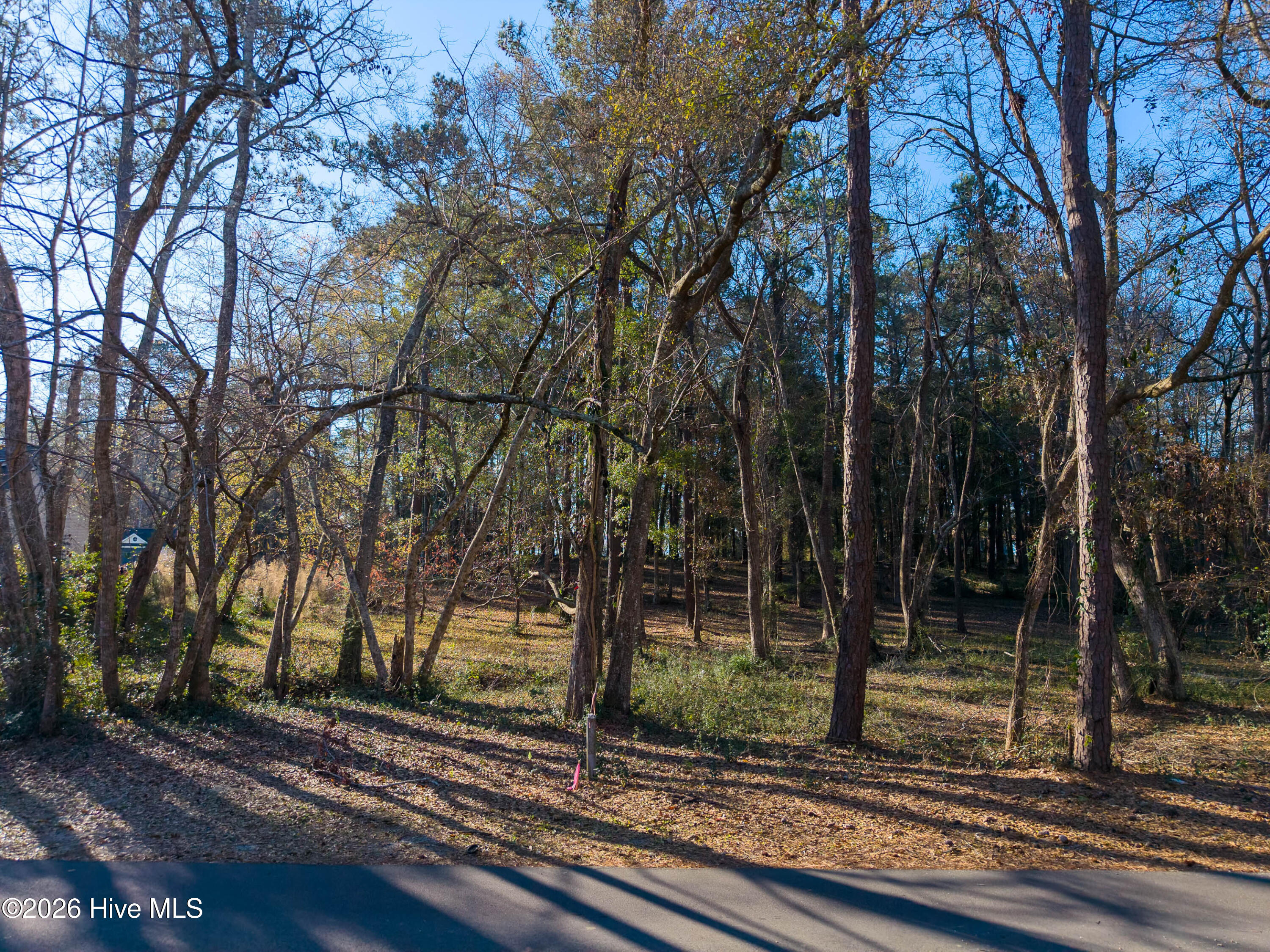 100562010 | Photo 13