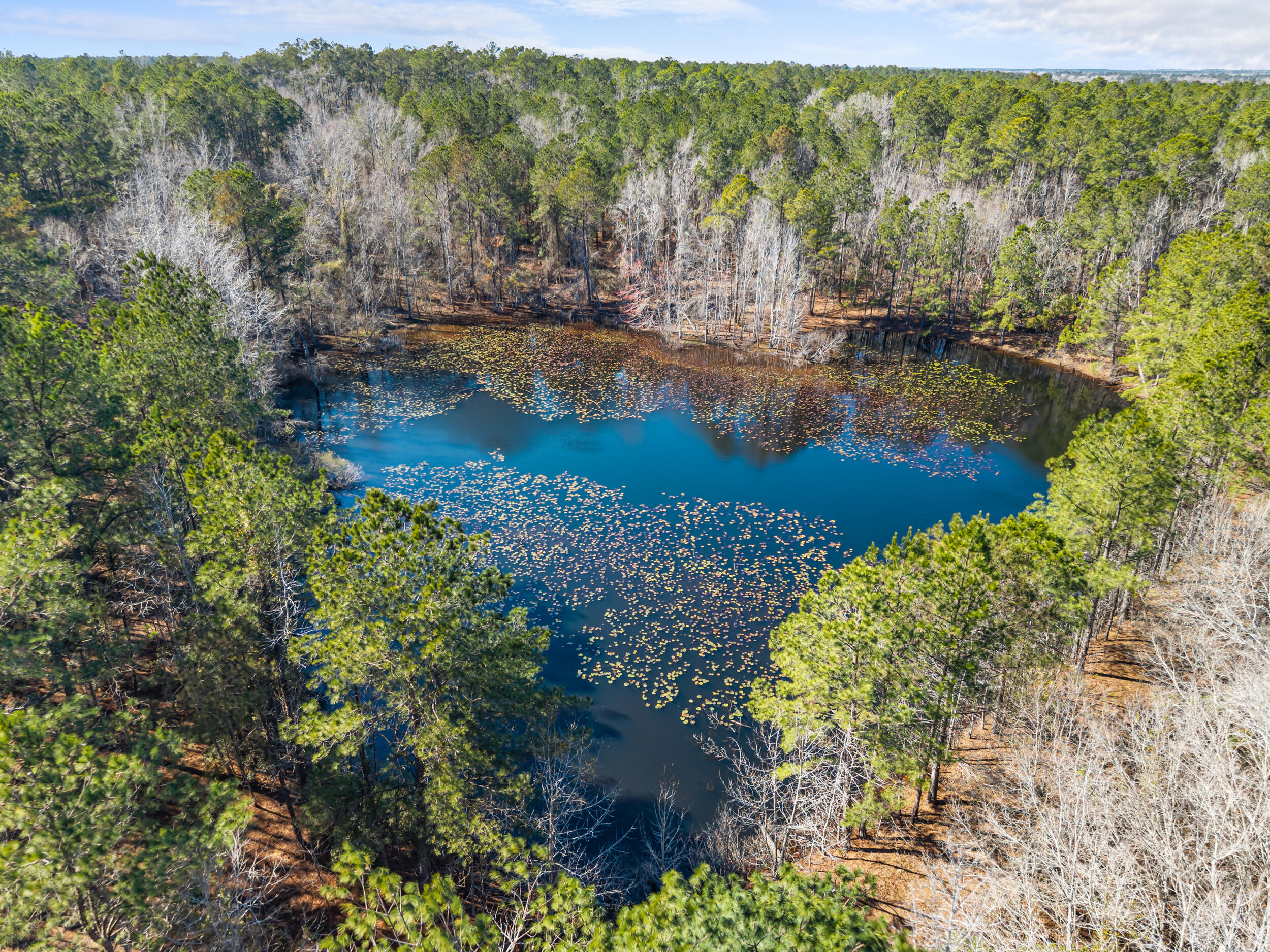 Homes for sale in Cobbtown, GA | 22701 Hwy 129, Cobbtown, GA 30420 | MLS# 552538