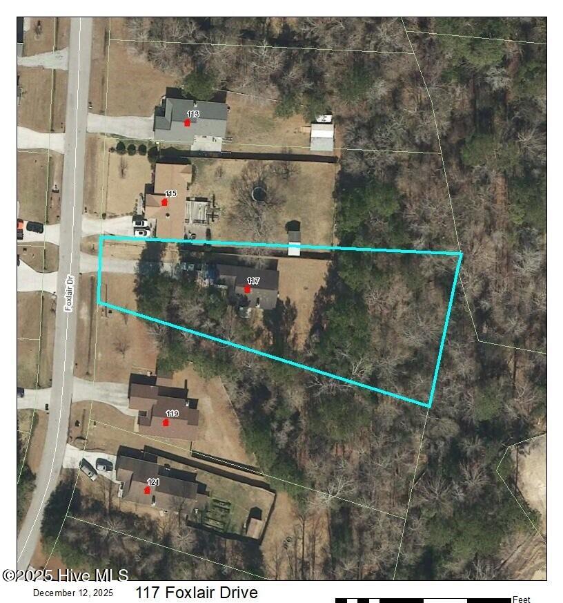 100545969 | Photo 21