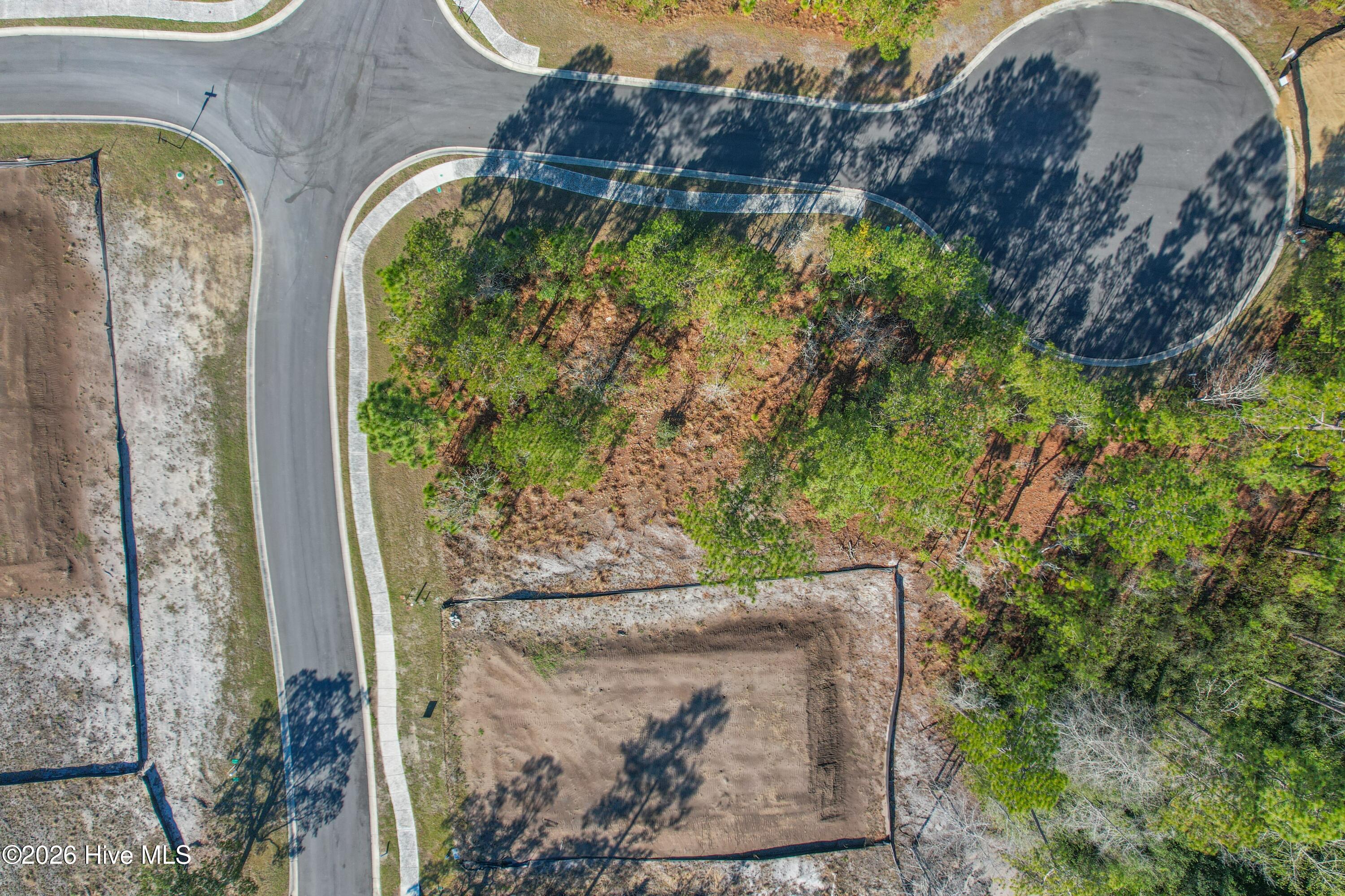 100561275 | Photo 21