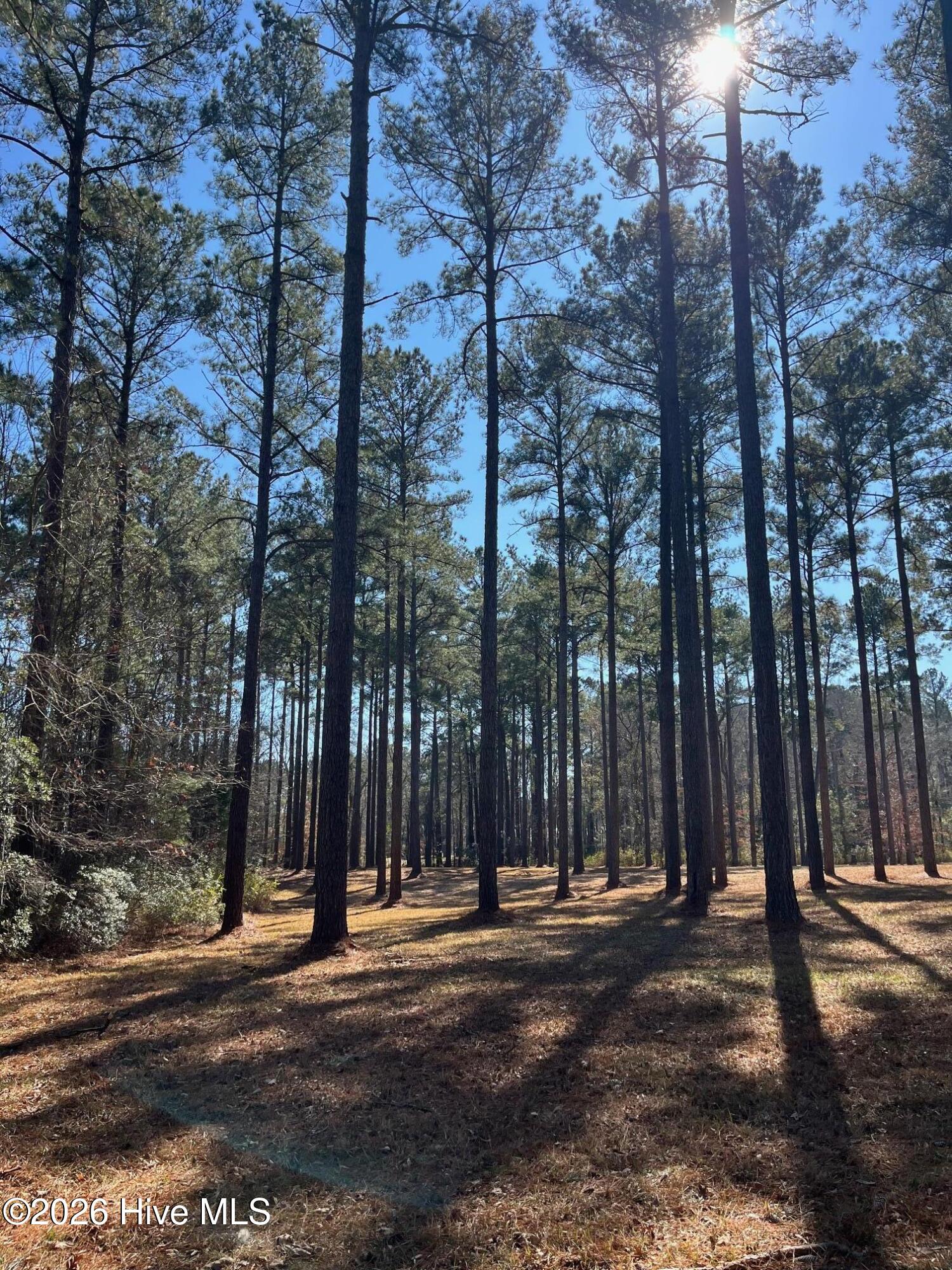 2 122 Bald Head Island Court S,Oriental