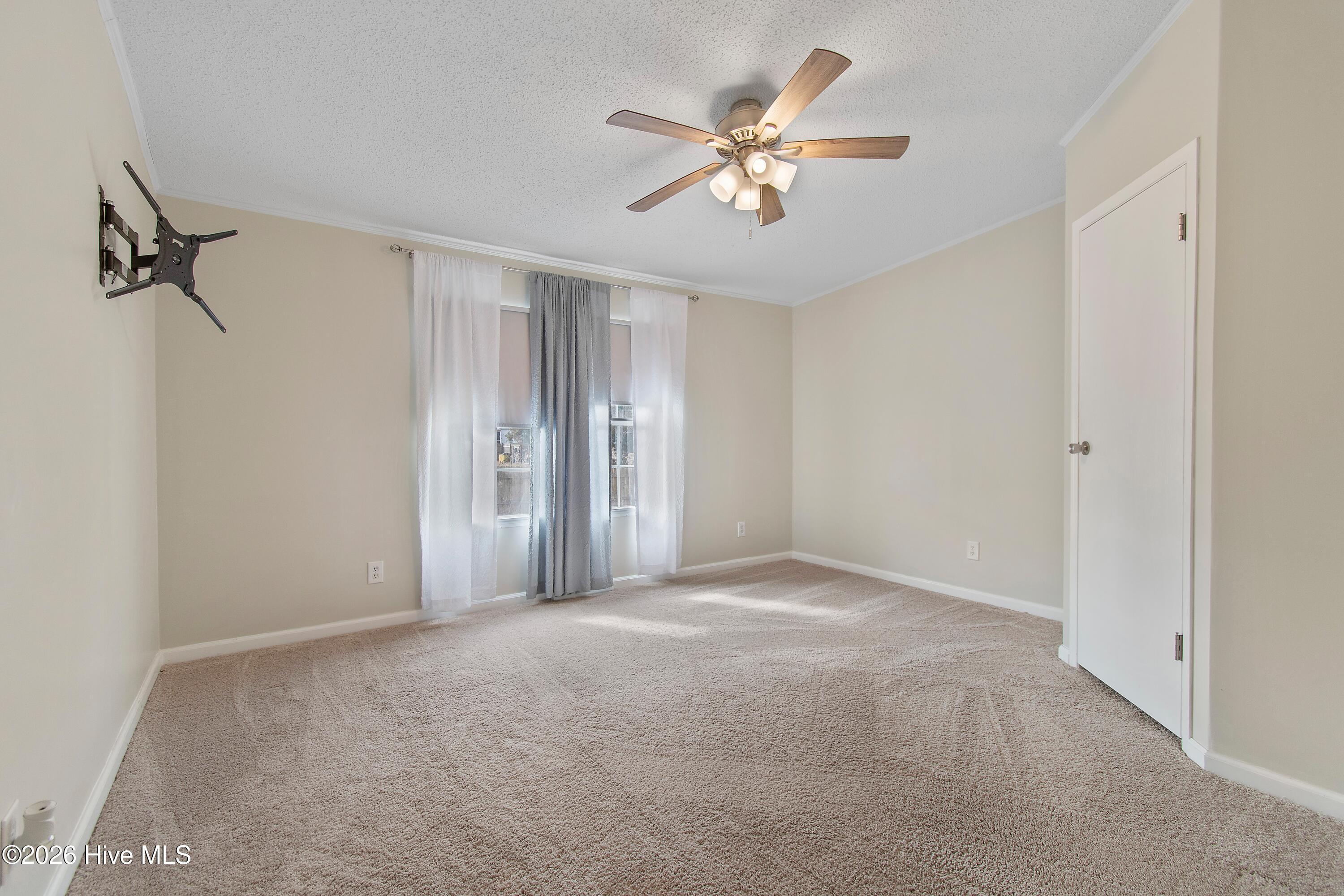 100553657 | Photo 22