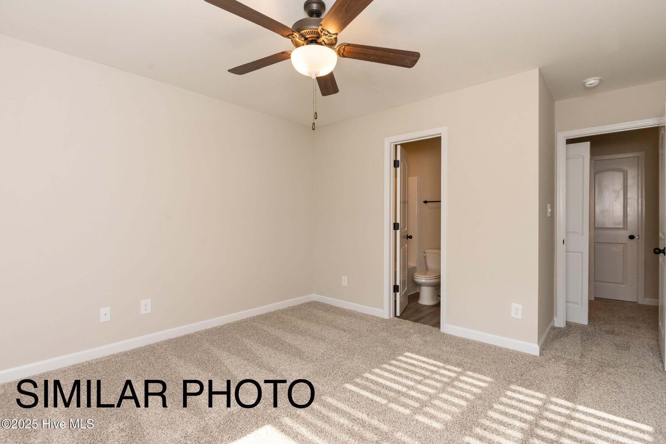 100537973 | Photo 16