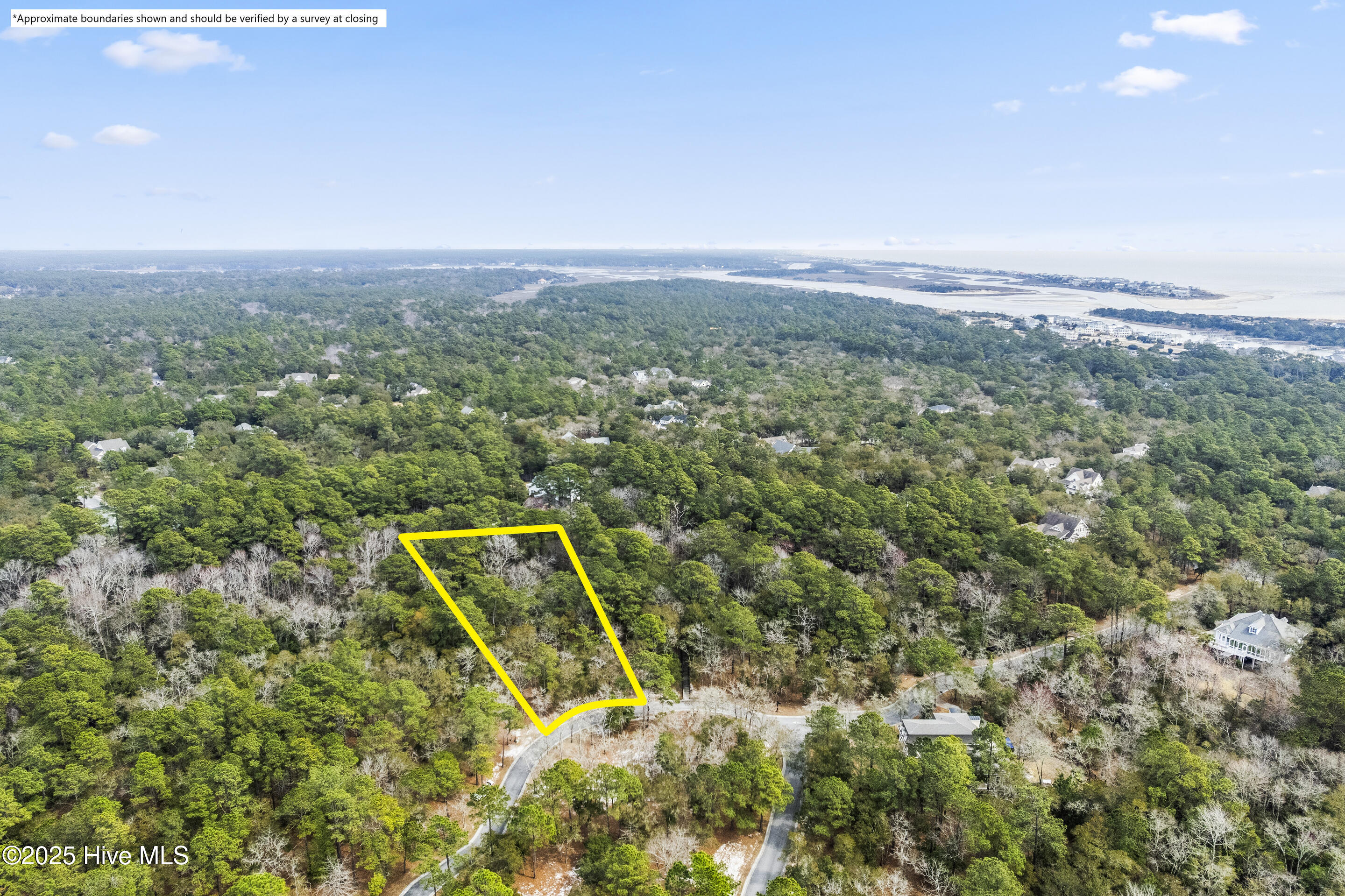 100495133 | Photo 20