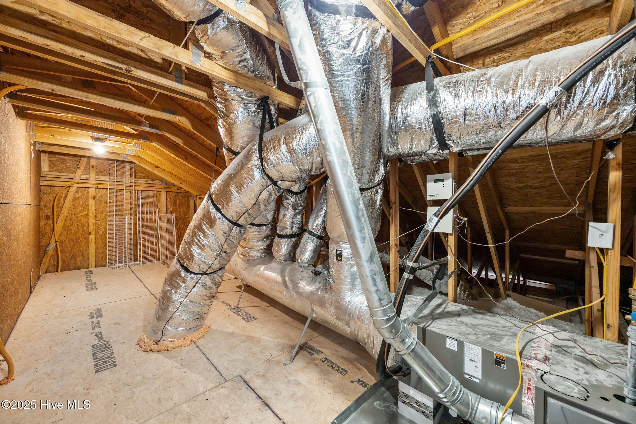 100542295 | Photo 44