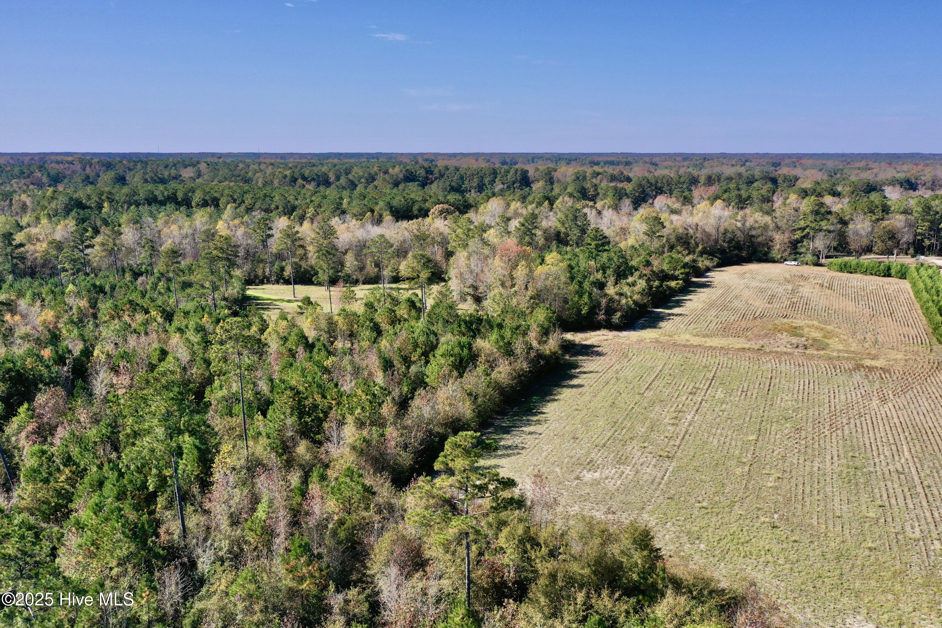 100541845 | Photo 17