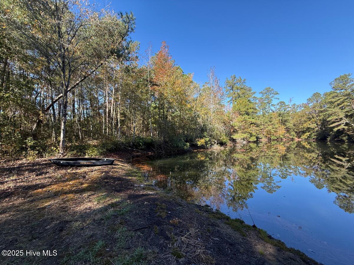 100540348 | Photo 39