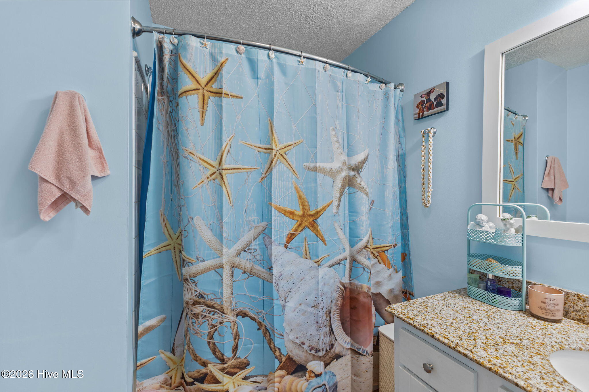 741 Comet Drive,Beaufort