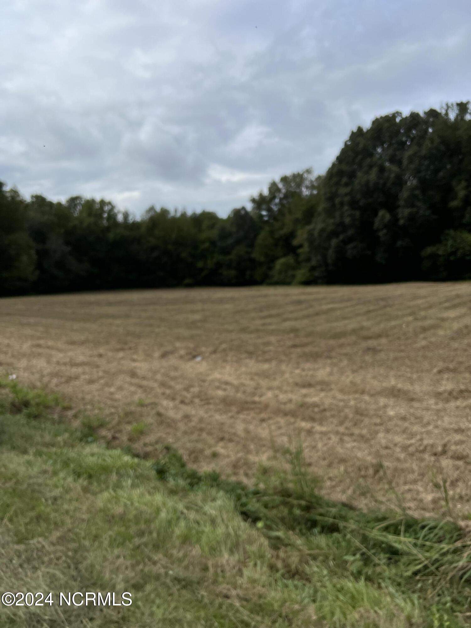 Lot 4 Hwy 264a, Bailey, NC, 27807