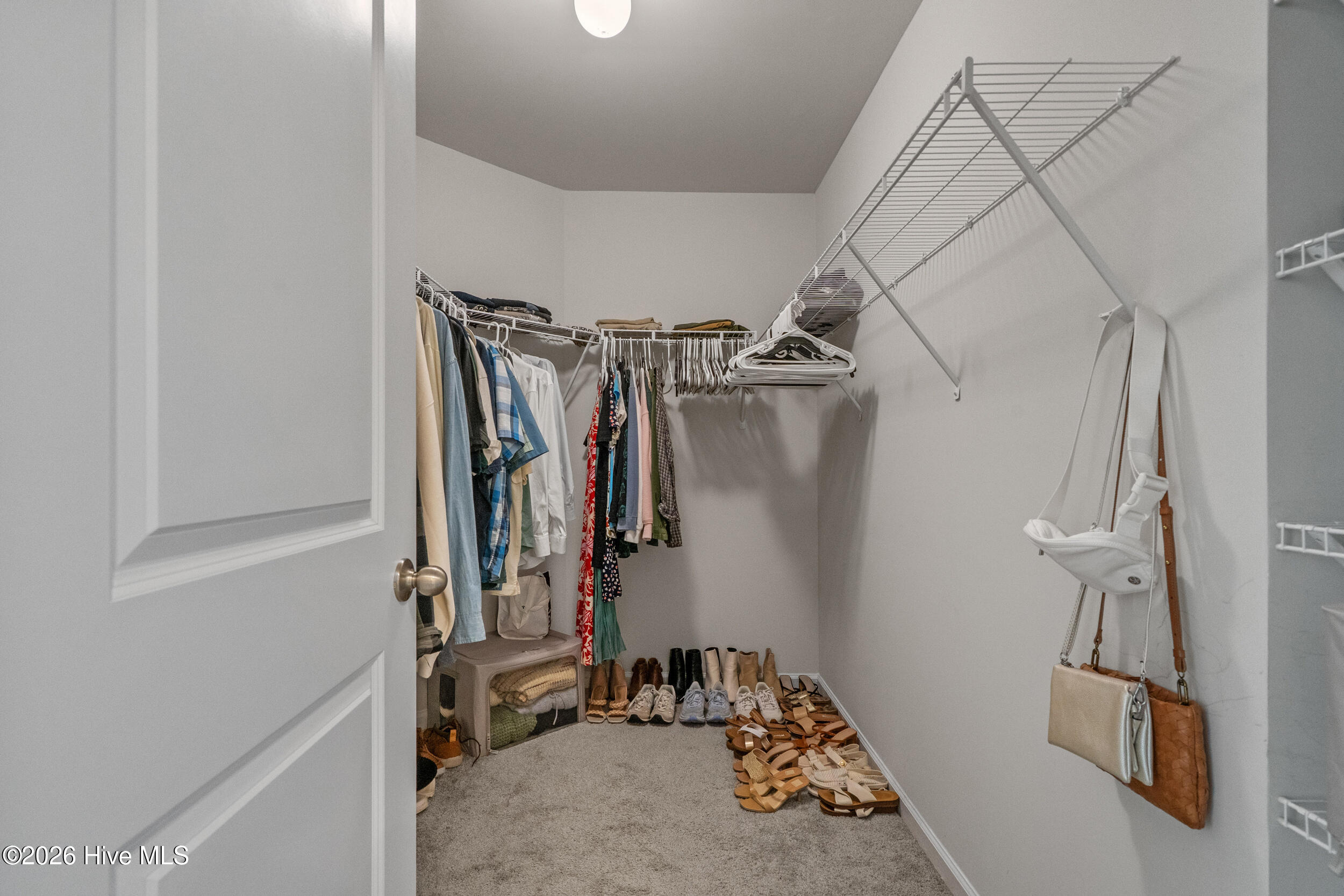 100559429 | Photo 24