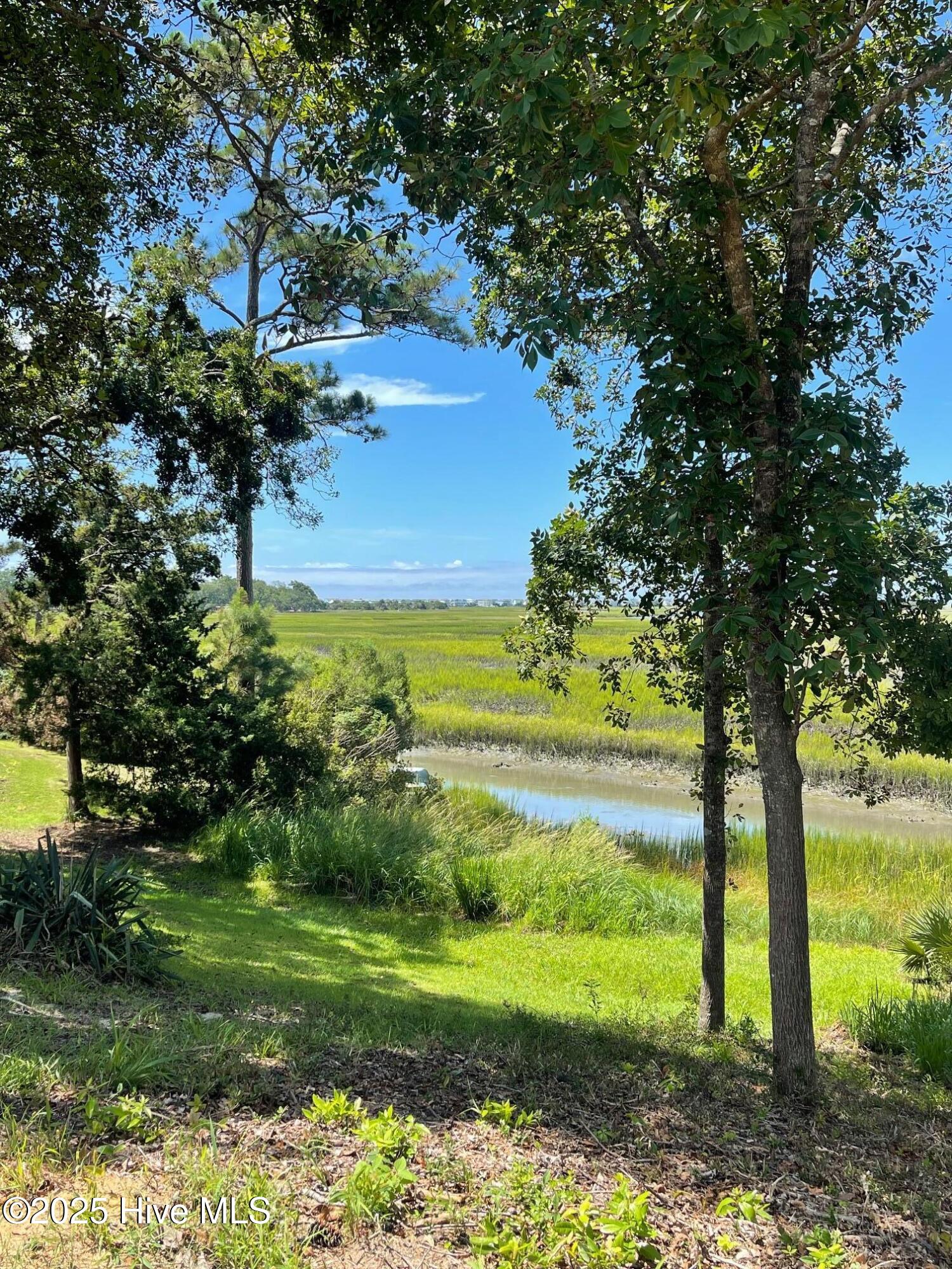 100523698 | Photo 24