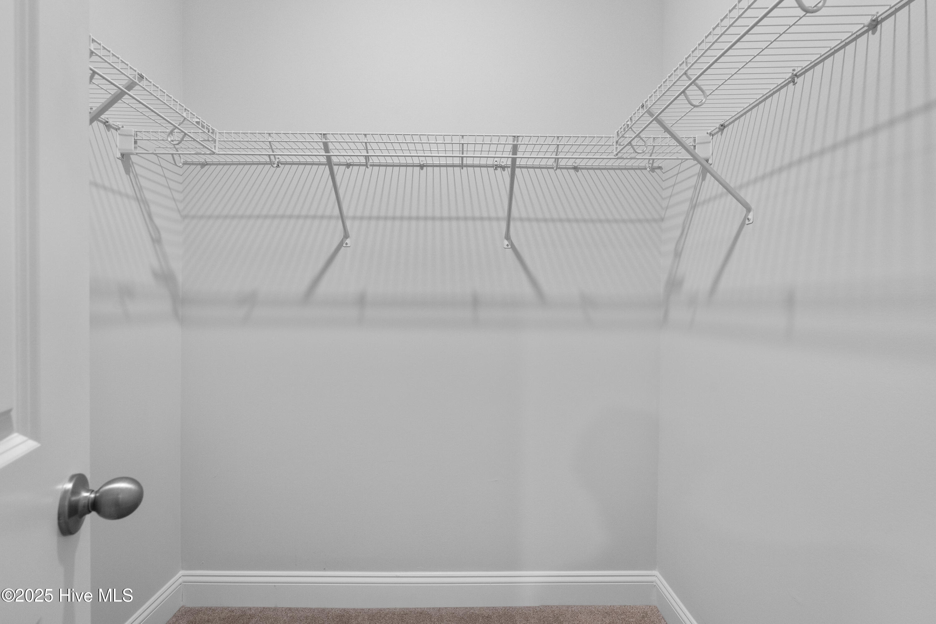 100510867 | Photo 13