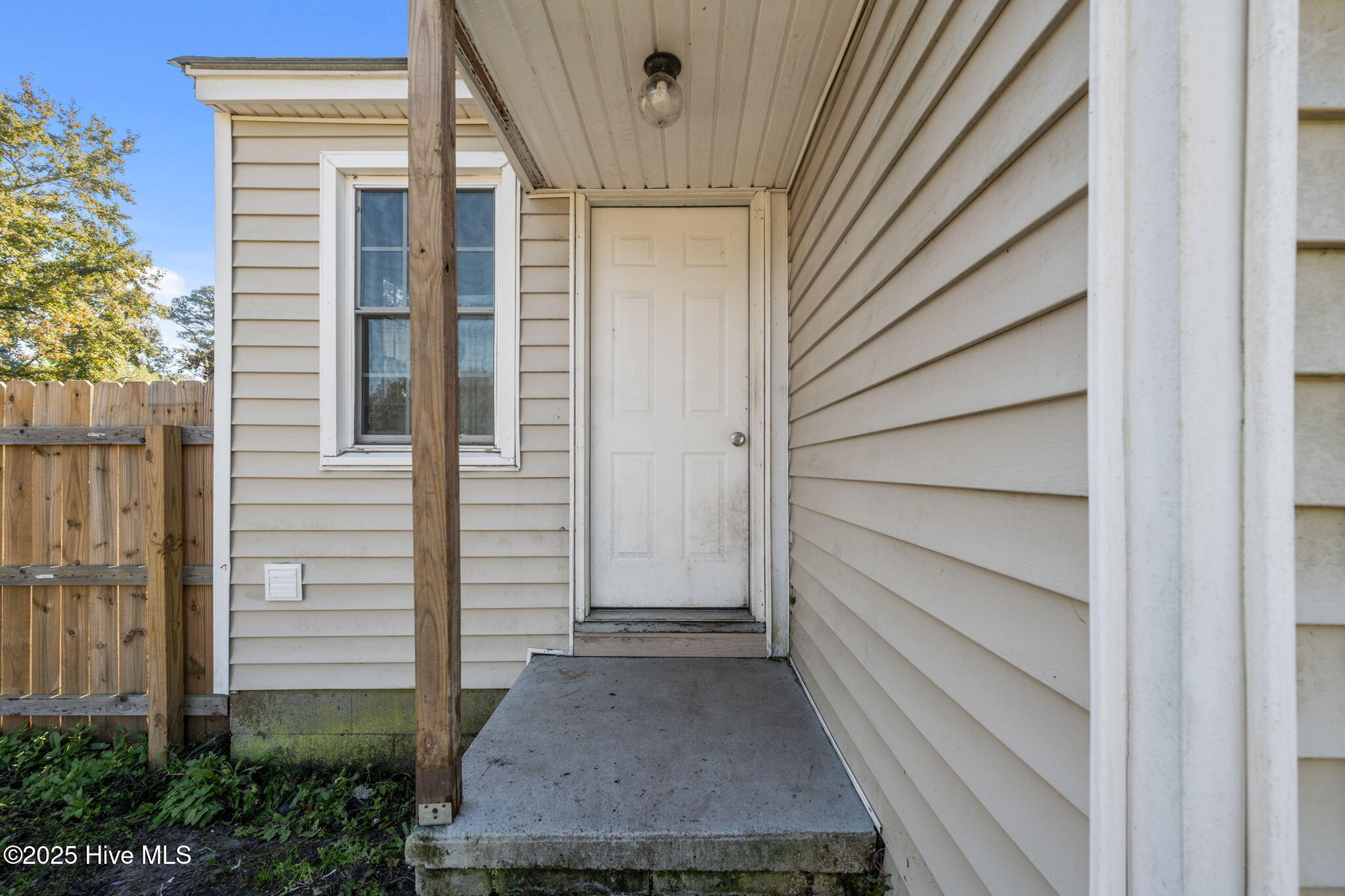 100538692 | Photo 43