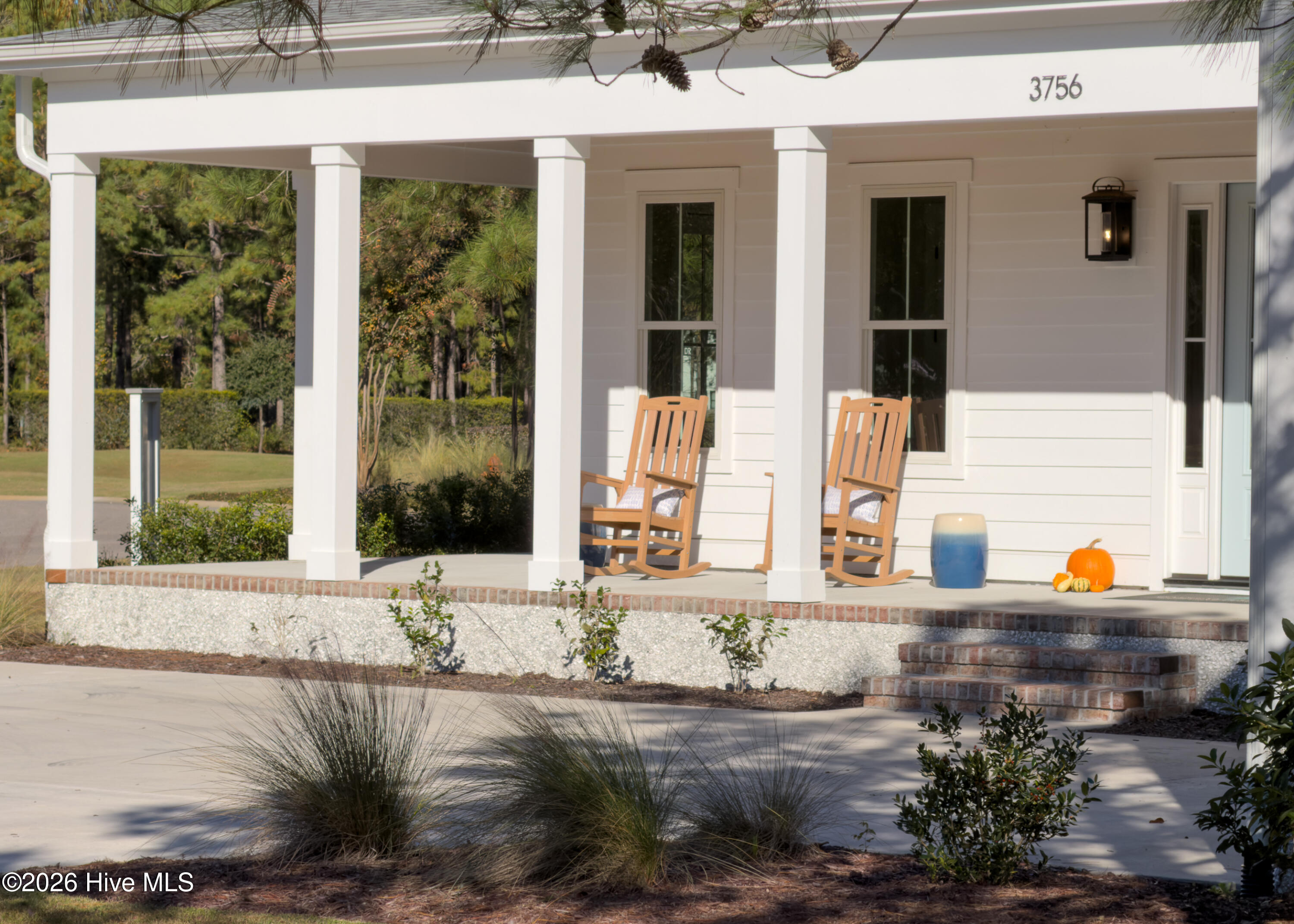 100558184 | Photo 32